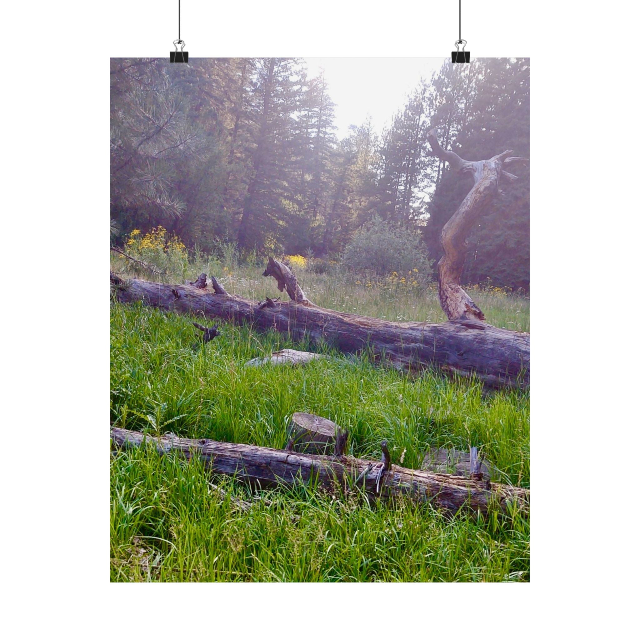 Nature-Inspired Matte Vertical Posters, Wall Art Decor, Forest Photo Prints, Home Aesthetic, Gift for Nature Lovers