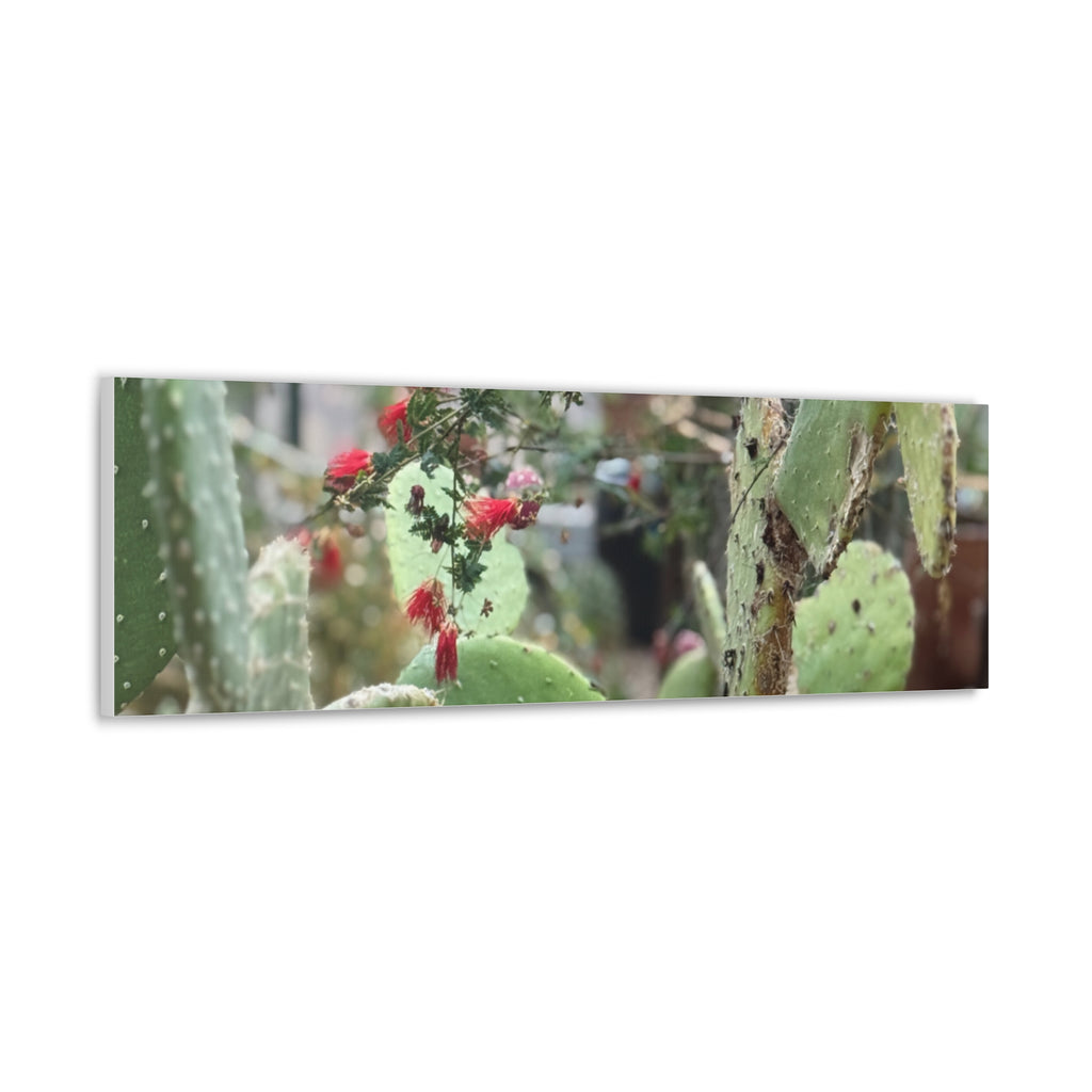 Cactus Artwork Print, Botanical Wall Decor, Succulent Canvas, Nature Lover Gift, Home Decoration