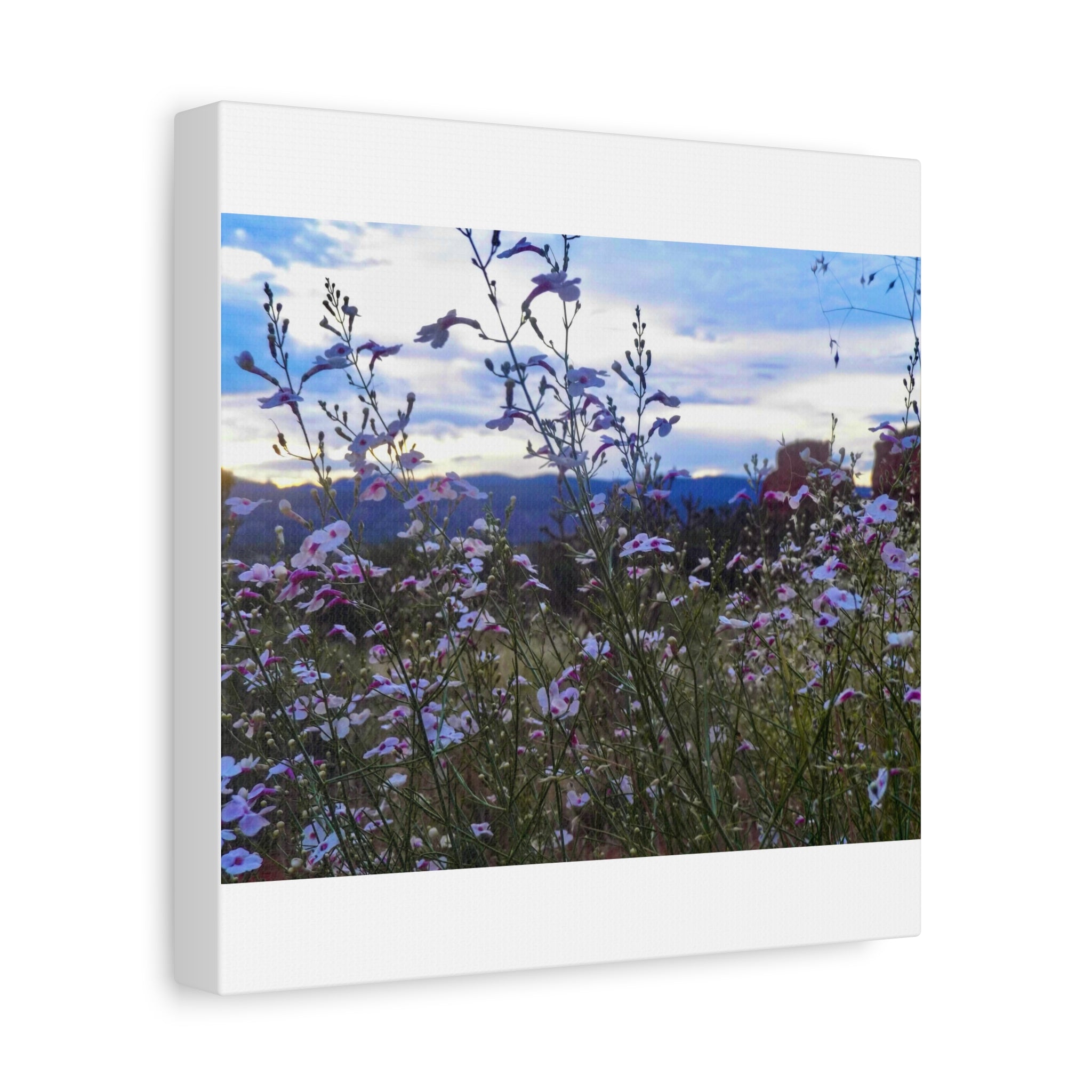 Floral Wall Art Canvas, Nature-Inspired Home Decor, Flower Print, Rustic Living Room, Gift for Gardeners, Boho Wall Art