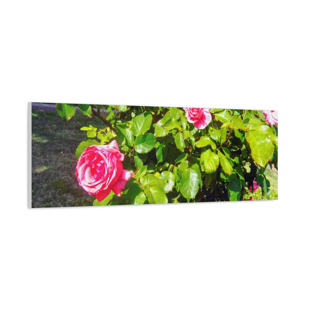 Floral Canvas Wall Art, Pink Rose Decor, Home Gallery Piece, Flower Photography, Garden Wall Decor, Floral Print