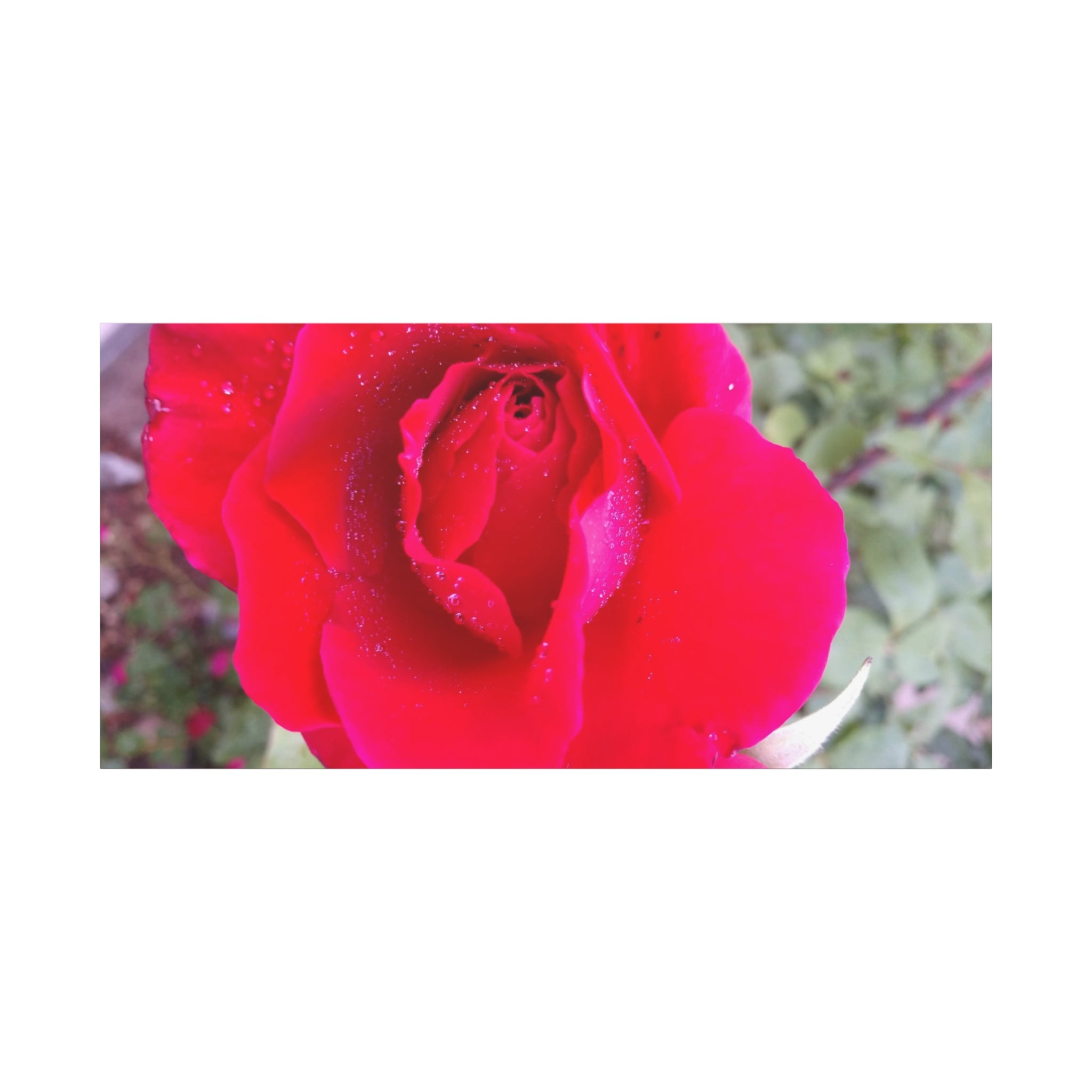 Vibrant Floral Canvas Art, Elegant Wall Decor, Perfect for Home, Gifts, Mother's Day, and Weddings