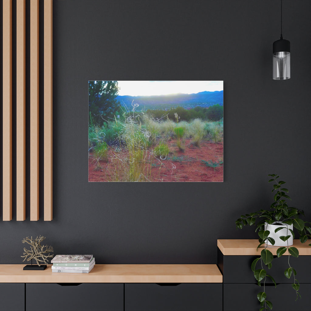 Stretched Canvas Art Print, Nature Wall Decor, Boho Home Decor, Rustic Landscape Art, Gift for Nature Lovers