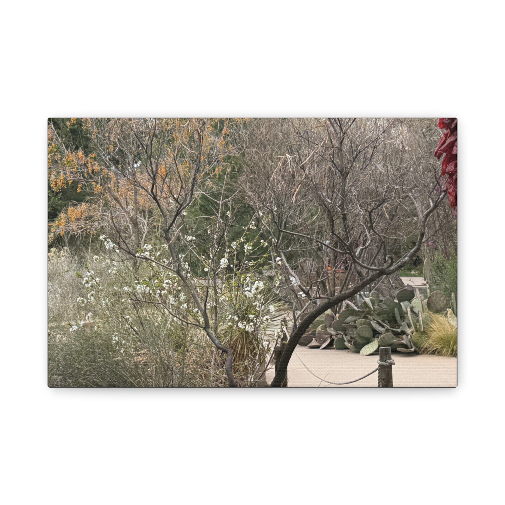 Classic Canvas Art Print, Bohemian Decor, Nature Wall Art, Home Gallery, Rustic Wall Decoration