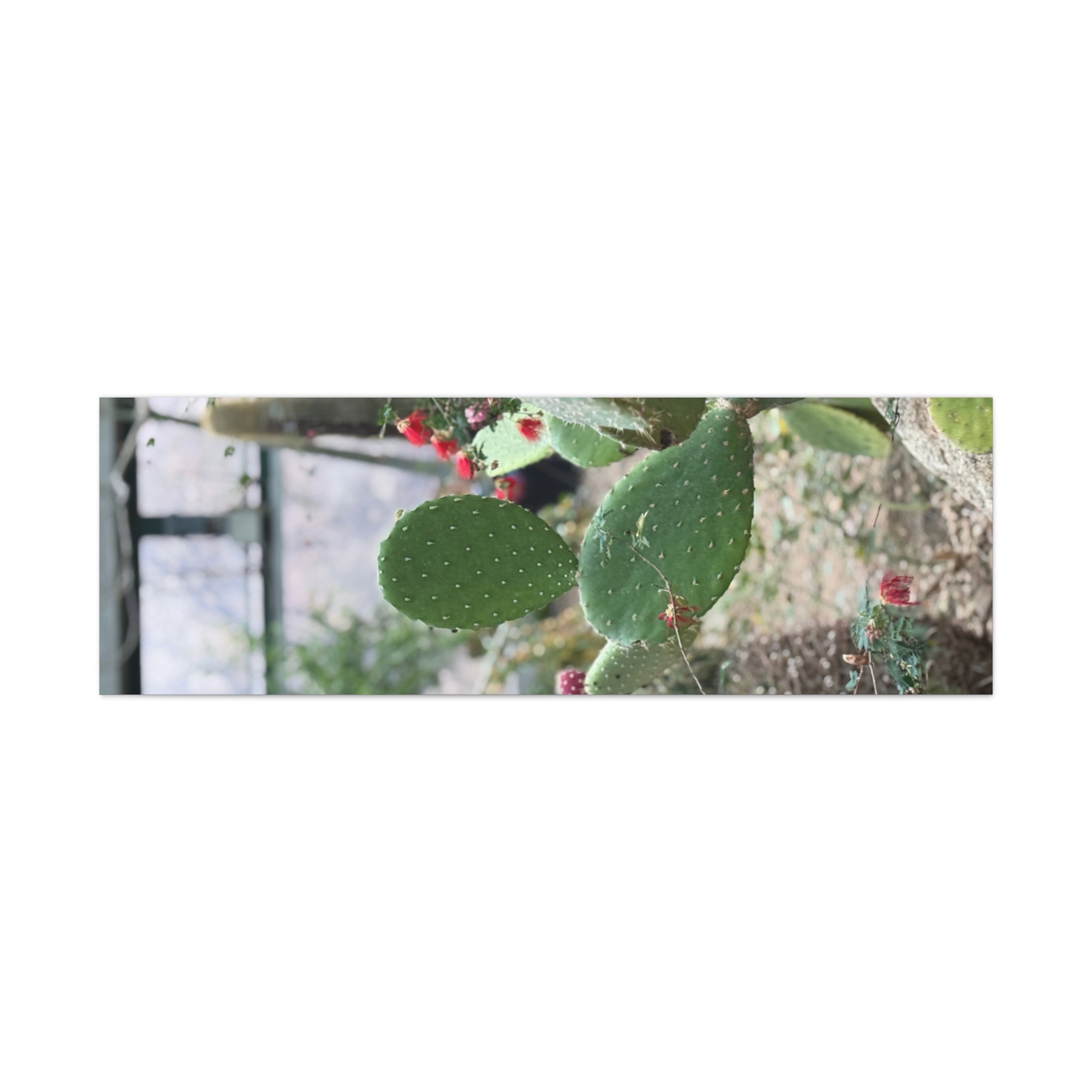 Cactus Wall Art Canvas Print, Nature Décor for Home, Office, Gift for Cactus Lovers, Unique Plant Themed Artwork, Desert Vibe Decor