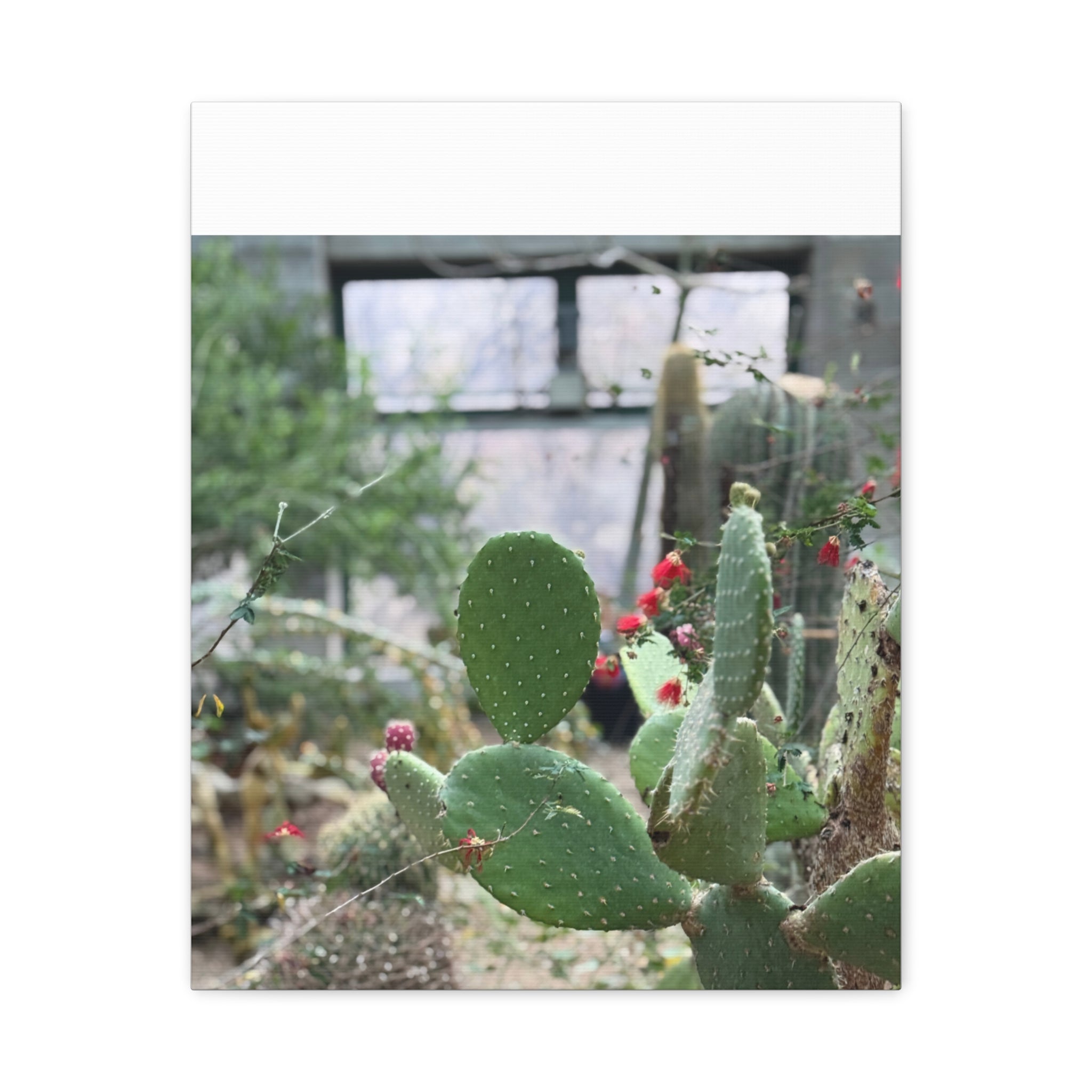 Cactus Matte Canvas Wall Art, Nature Decor, Southwestern Room Design, Green Plant Prints, Home and Office Wall Decor