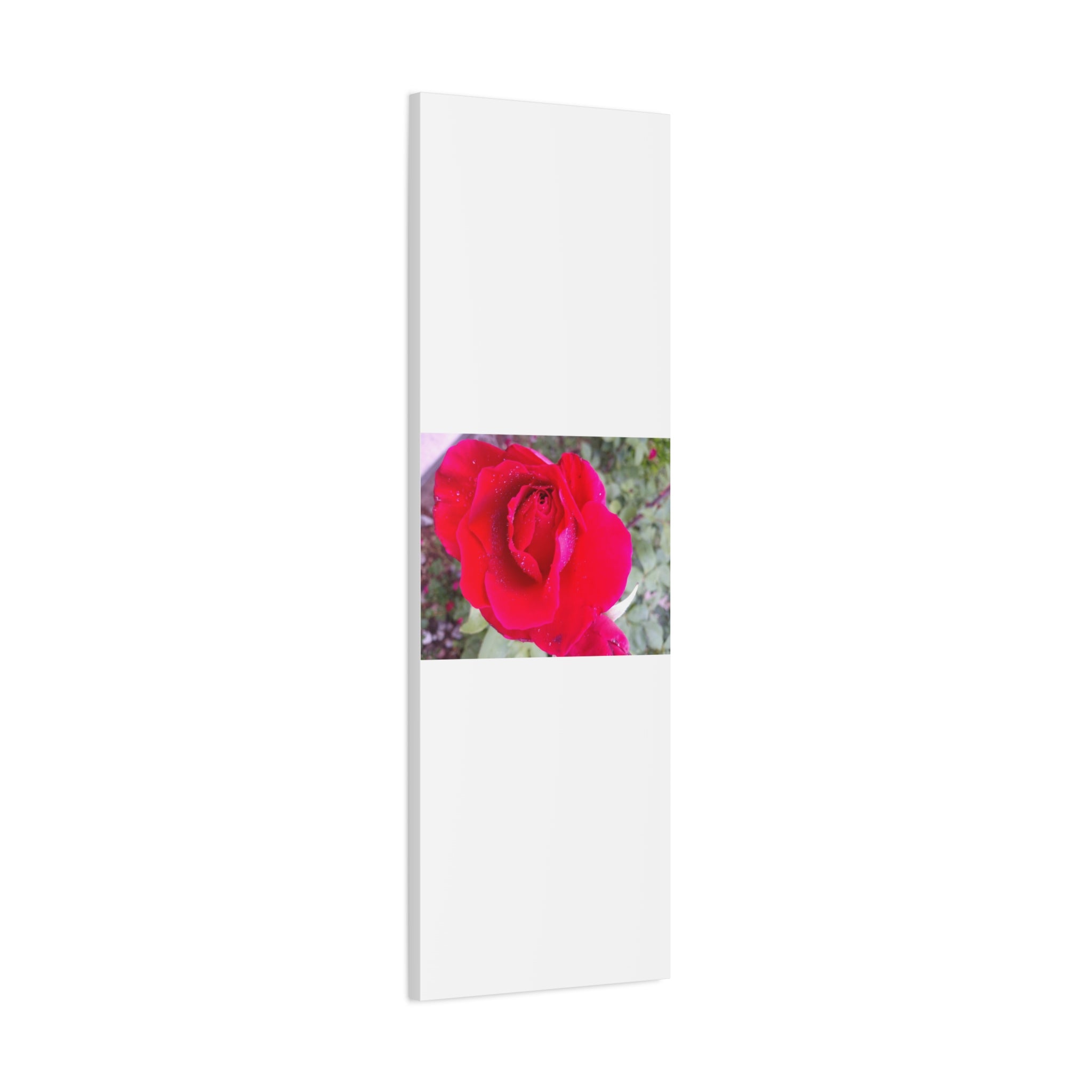Vibrant Floral Canvas Art, Elegant Wall Decor, Perfect for Home, Gifts, Mother's Day, and Weddings