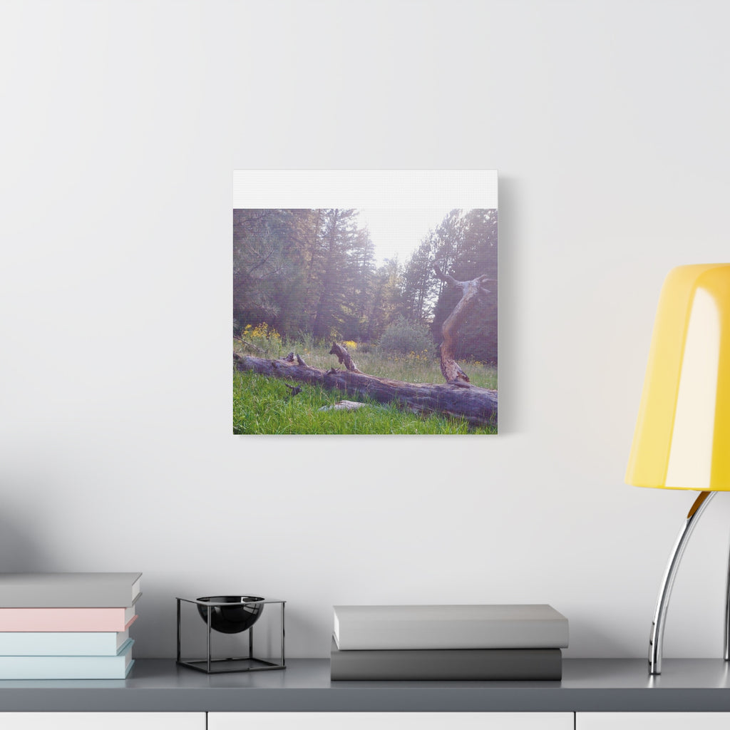 Matte Canvas Wall Art - Serene Nature Scene, Perfect for Home Decor, Gift for Nature Lovers, Office Wall Decoration, Rustic Art Print