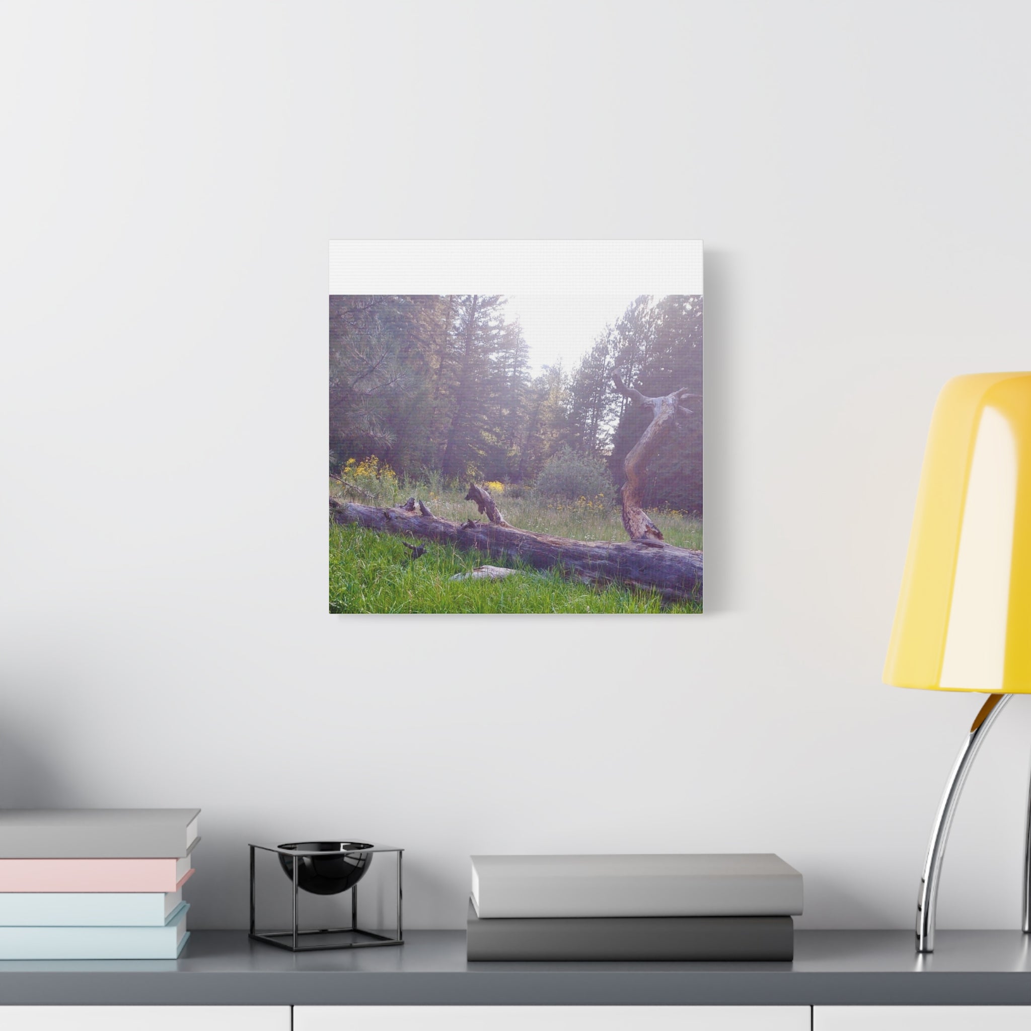 Matte Canvas Wall Art - Serene Nature Scene, Perfect for Home Decor, Gift for Nature Lovers, Office Wall Decoration, Rustic Art Print