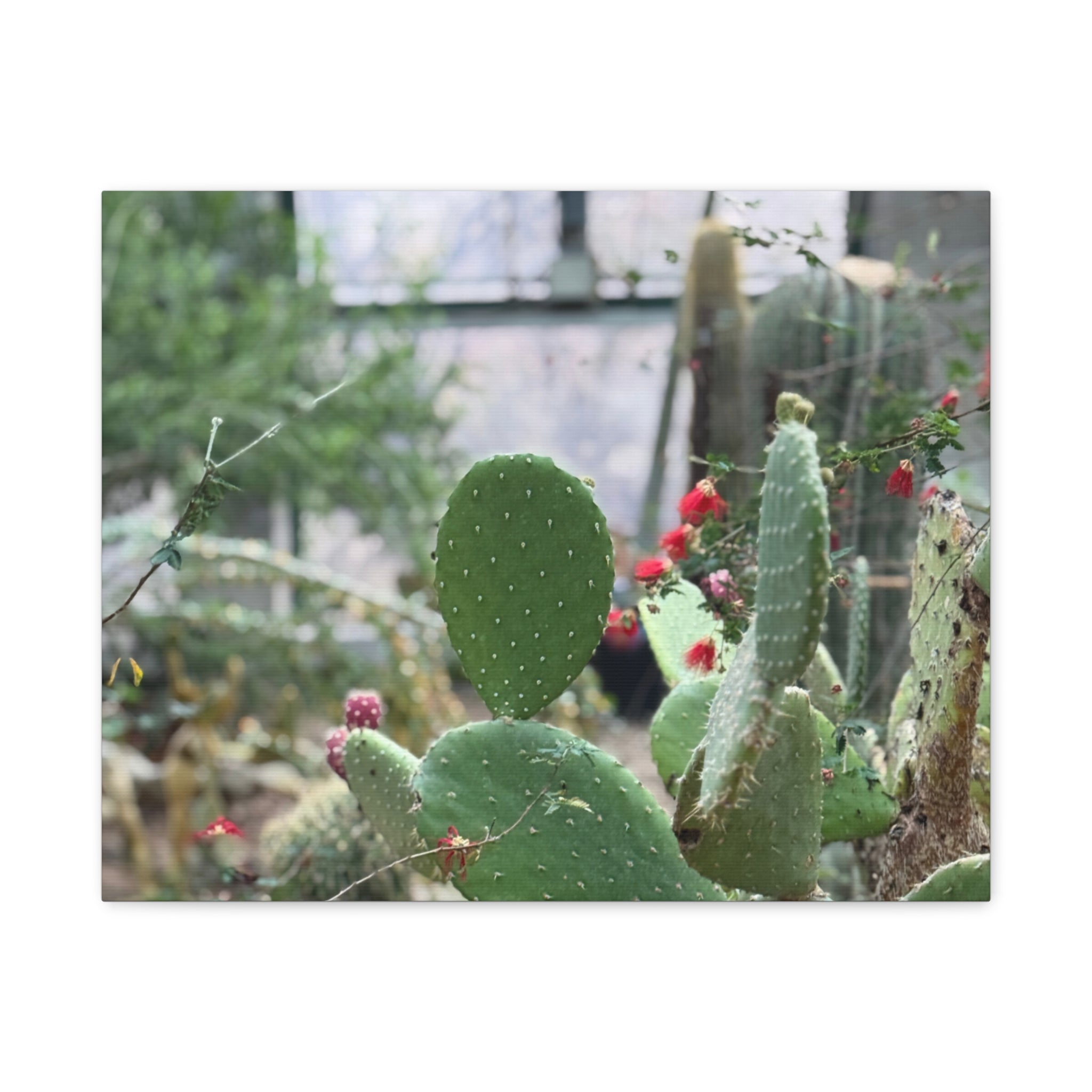 Cactus Matte Canvas Wall Art, Nature Decor, Southwestern Room Design, Green Plant Prints, Home and Office Wall Decor