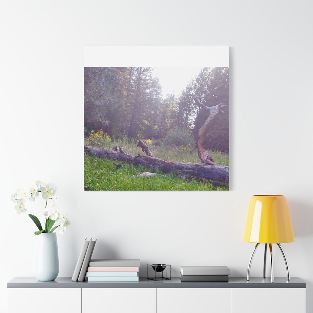 Matte Canvas Wall Art - Serene Nature Scene, Perfect for Home Decor, Gift for Nature Lovers, Office Wall Decoration, Rustic Art Print