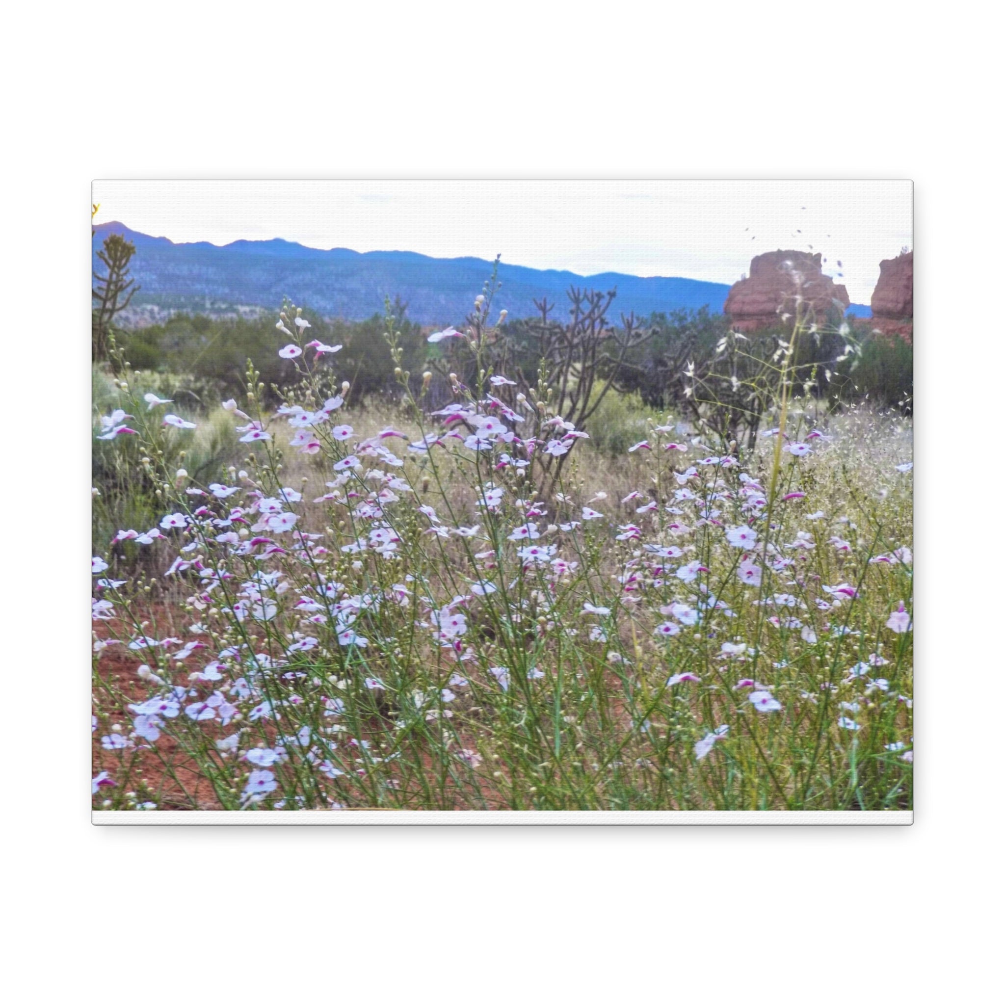 Floral Canvas Art Print, Nature Decor for Home, Wall Art for Office, Gift for Garden Lovers, Botanical Wall Decor, Spring Vibes