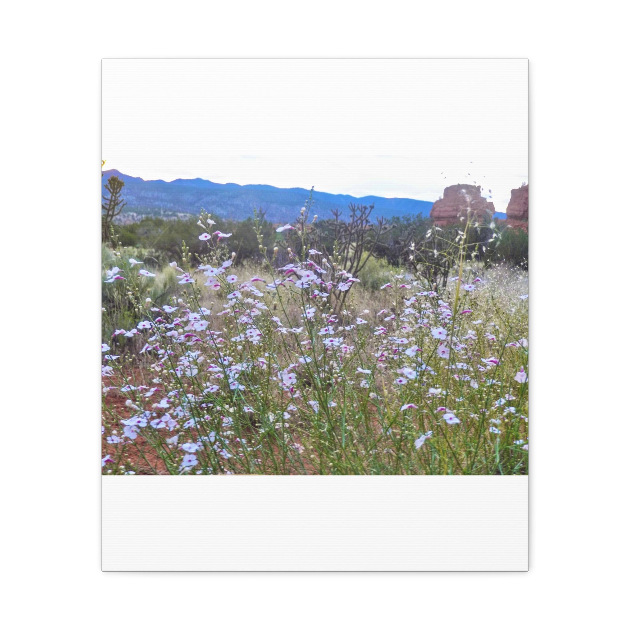 Floral Canvas Art Print, Nature Decor for Home, Wall Art for Office, Gift for Garden Lovers, Botanical Wall Decor, Spring Vibes