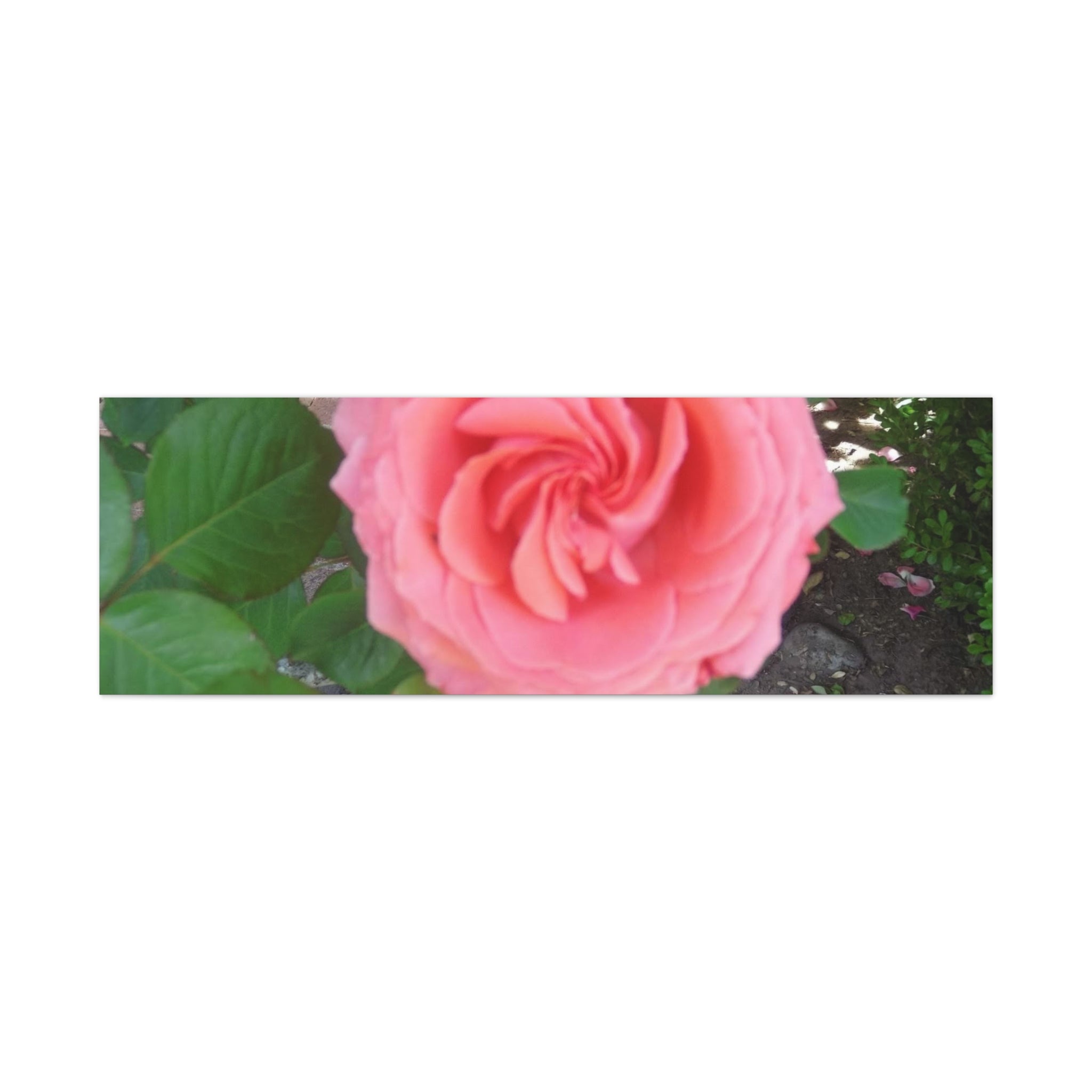 Pink Rose Canvas Wall Art, Floral Decor for Home, Perfect Gift for Nature Lovers, Elegant Wall Hanging, Mother's Day Decoration