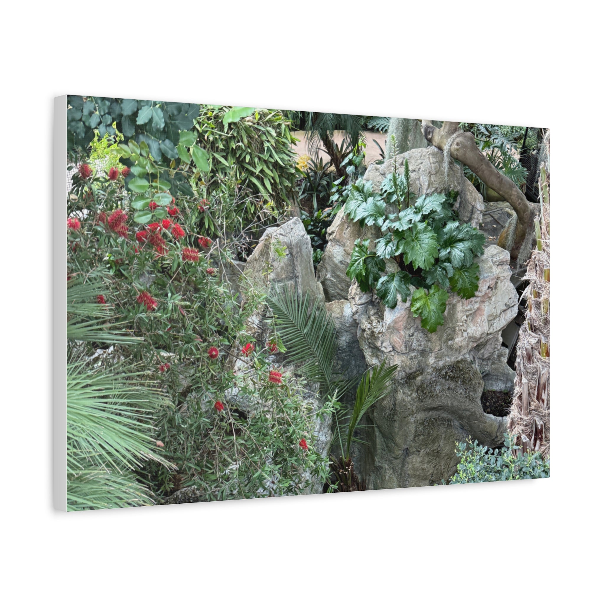 Garden Landscape Canvas Wall Art, Nature Decor, Home Decoration, Gift for Nature Lovers, Eco-Friendly Art, Botanical Wall Decor