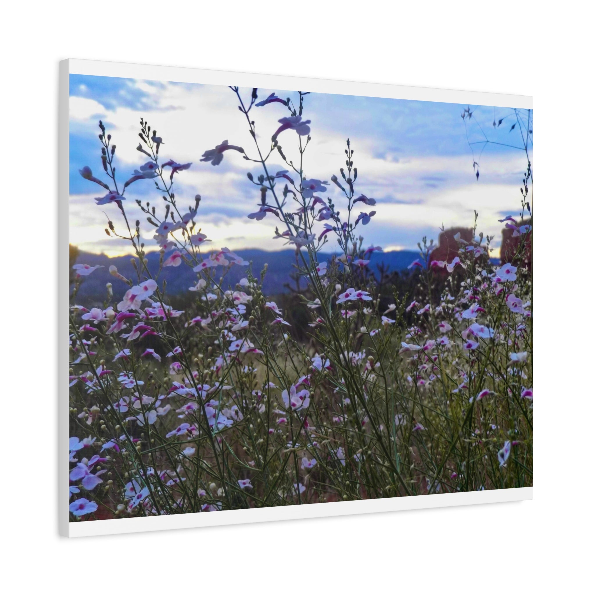 Floral Wall Art Canvas, Nature-Inspired Home Decor, Flower Print, Rustic Living Room, Gift for Gardeners, Boho Wall Art