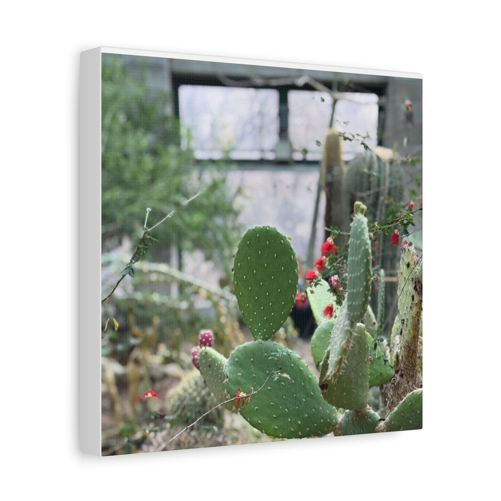 Cactus Matte Canvas Wall Art, Nature Decor, Southwestern Room Design, Green Plant Prints, Home and Office Wall Decor