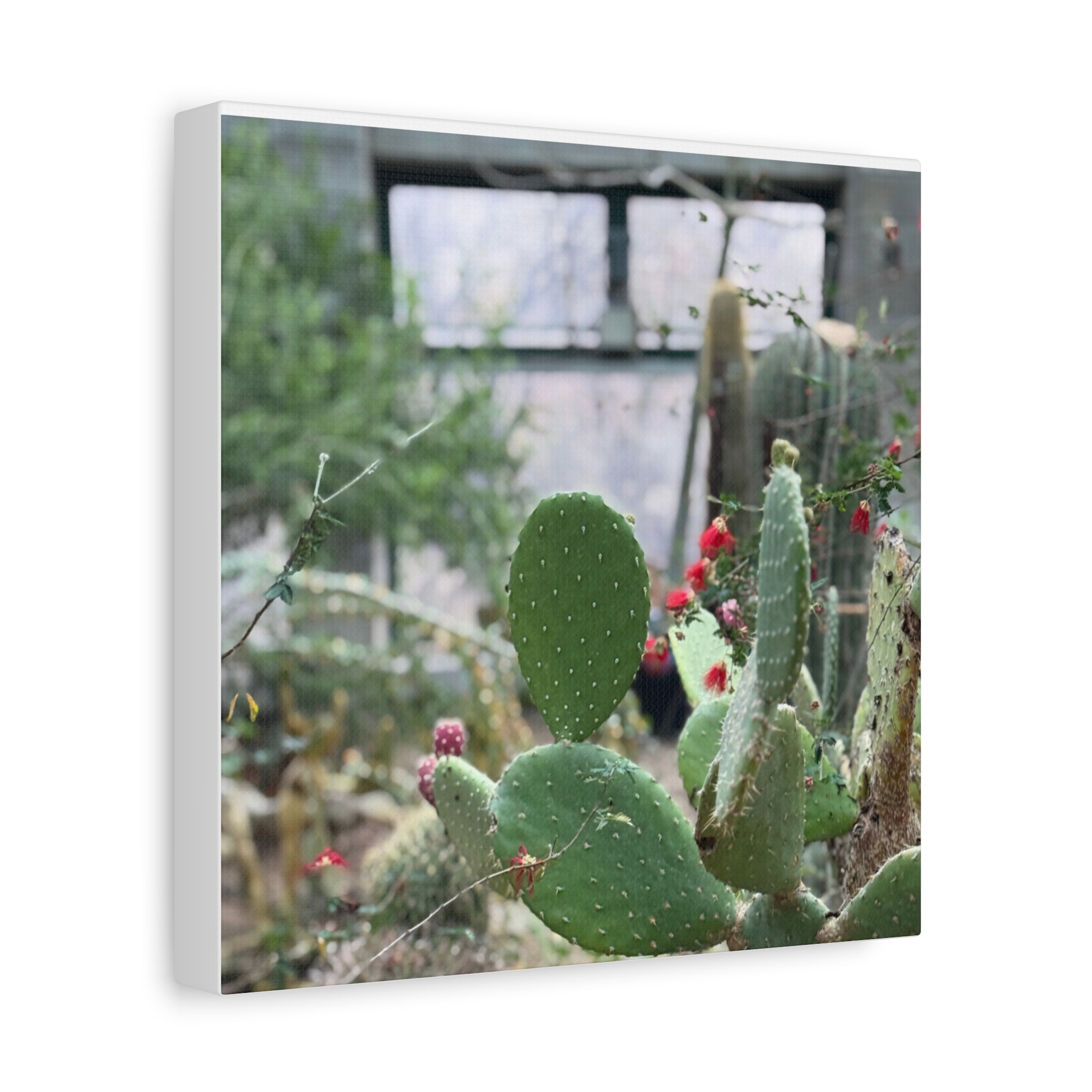 Cactus Matte Canvas Wall Art, Nature Decor, Southwestern Room Design, Green Plant Prints, Home and Office Wall Decor
