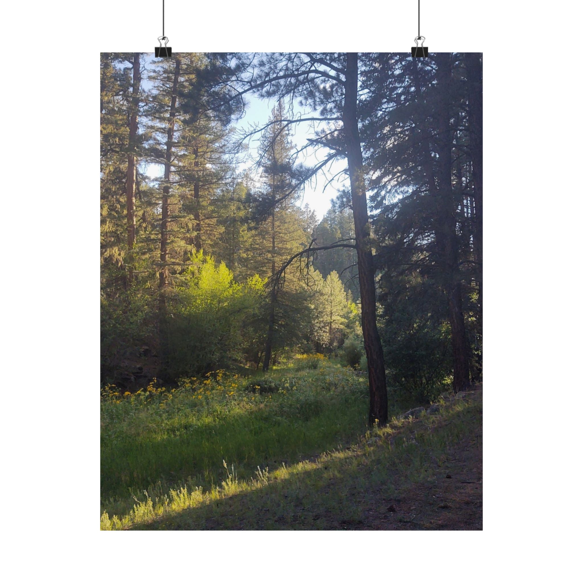 Nature-Inspired Vertical Posters, Scenic Wall Art, Home Décor, Forest Print, Gift for Nature Lovers