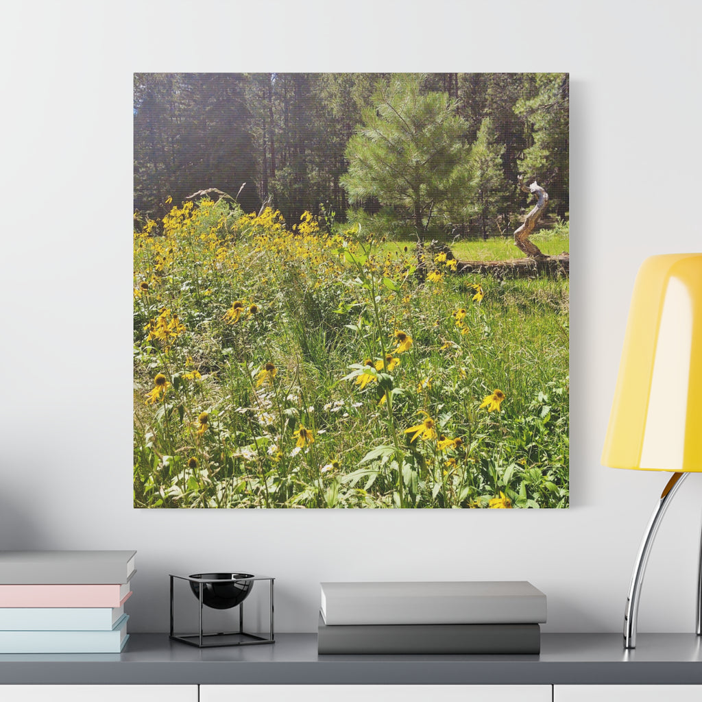 Canvas Wall Art, Nature Photography Decor, Floral Home Decor, Greenery Art Print, Gift for Nature Lovers