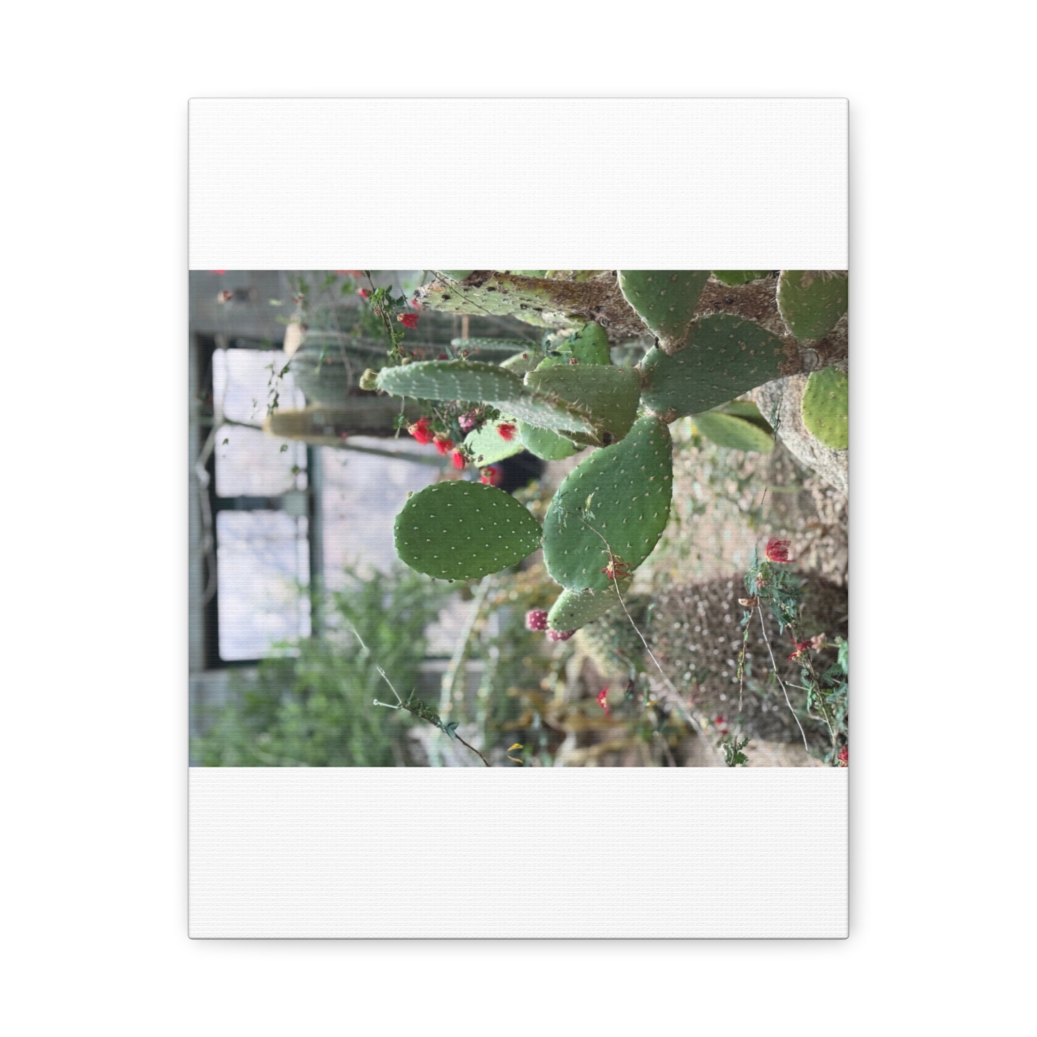Cactus Wall Art Canvas Print, Nature Décor for Home, Office, Gift for Cactus Lovers, Unique Plant Themed Artwork, Desert Vibe Decor