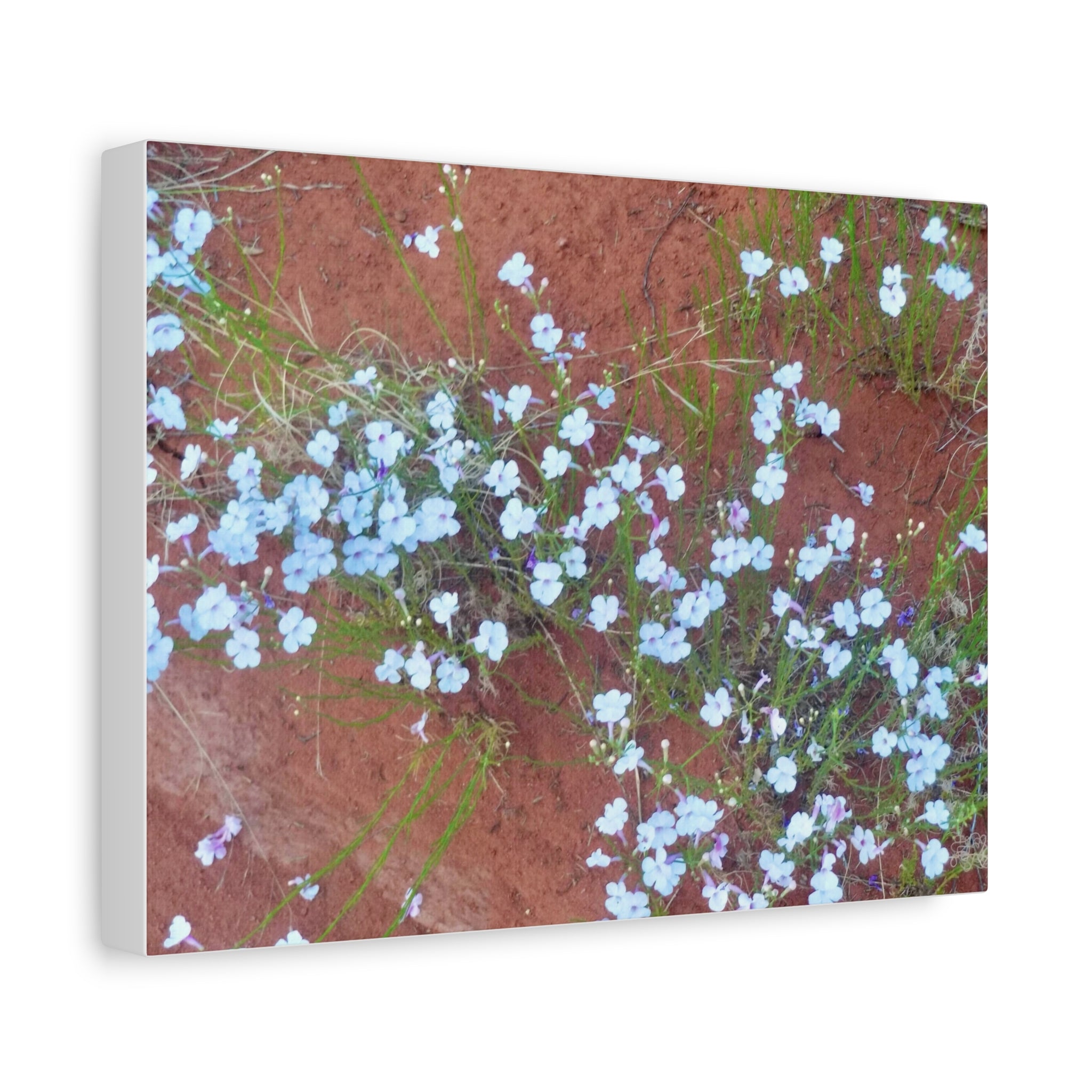 Botanical Wall Art, Flower Decor, Nature Canvas, Home Decoration, Blue Floral Print, Gift for Her, Art for Living Room