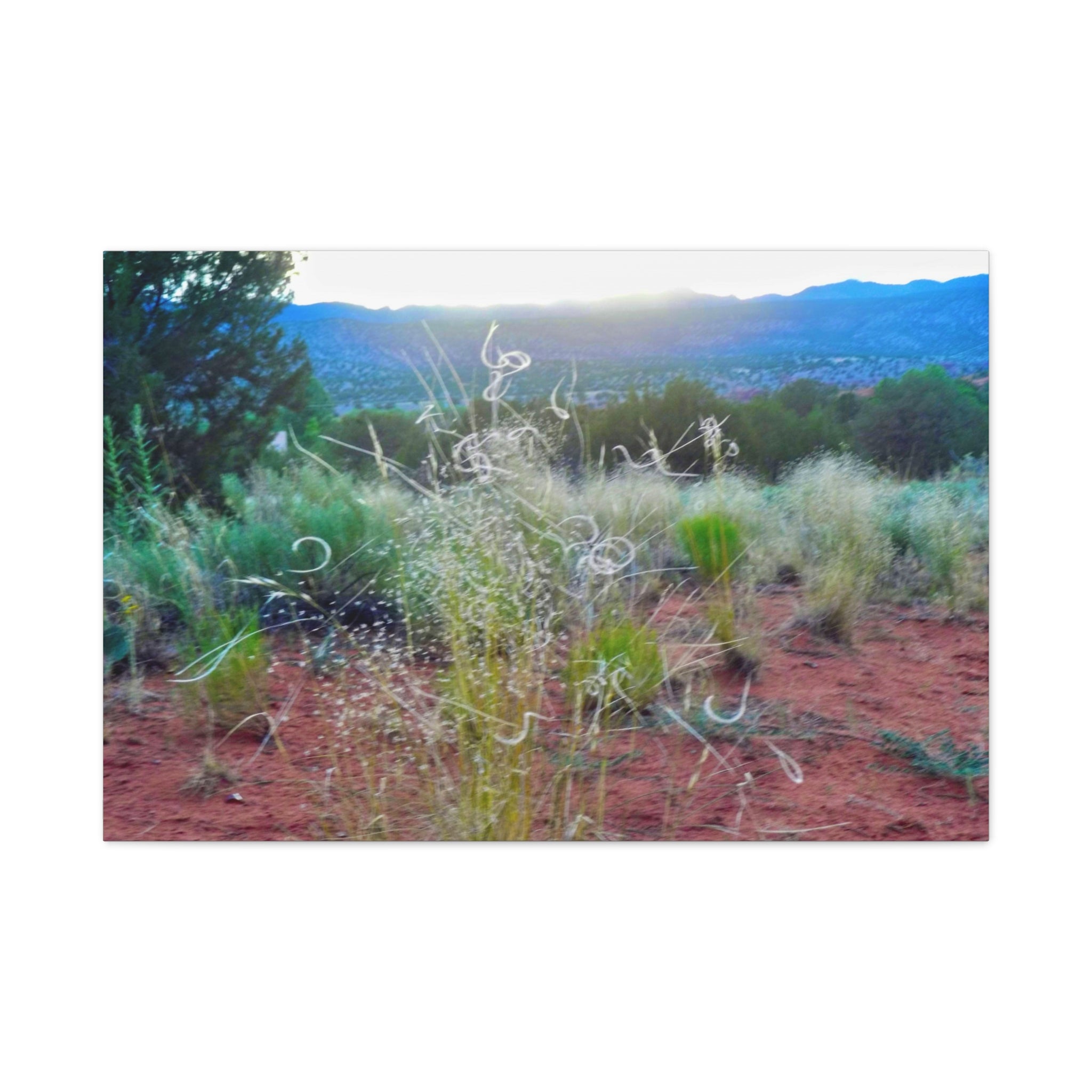 Serene Desert Landscape Canvas Print, Nature Wall Art, Home Decor, Gift for Nature Lovers, Rustic Art for Living Room, Boho Decor