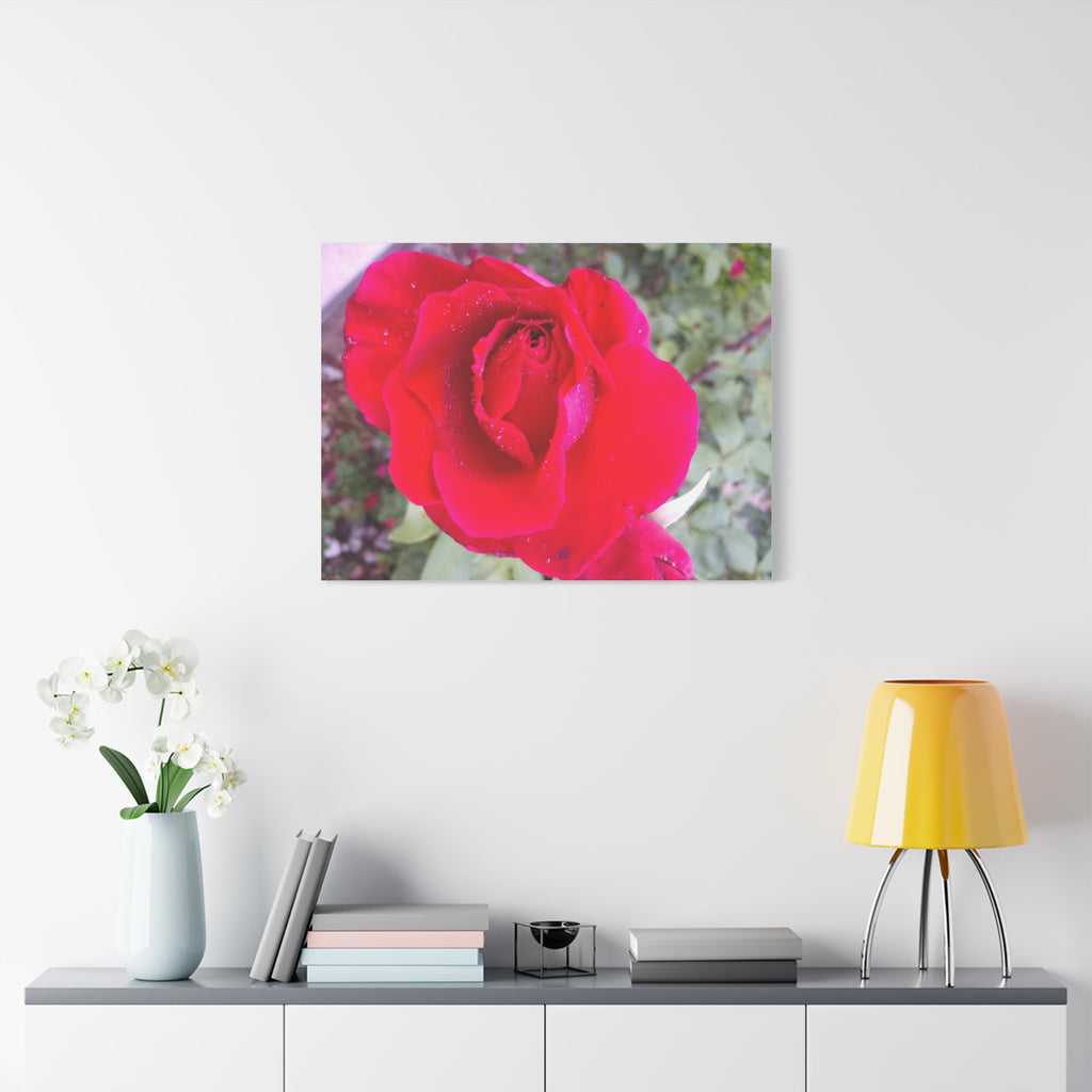 Vibrant Floral Canvas Art, Elegant Wall Decor, Perfect for Home, Gifts, Mother's Day, and Weddings
