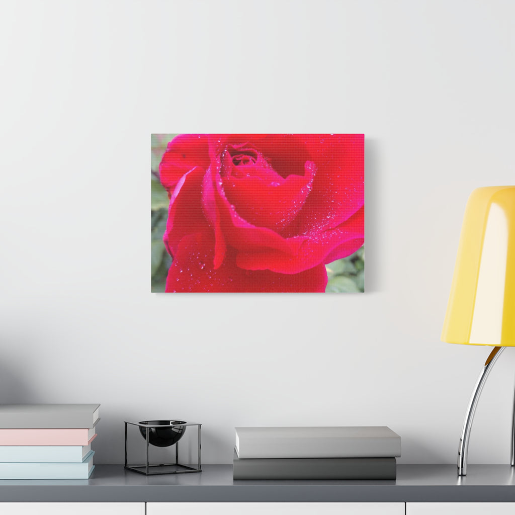 Stunning Floral Canvas Print, Home Decor, Wall Art, Gift for Flower Lovers, Red Rose Art, Mother's Day Gift