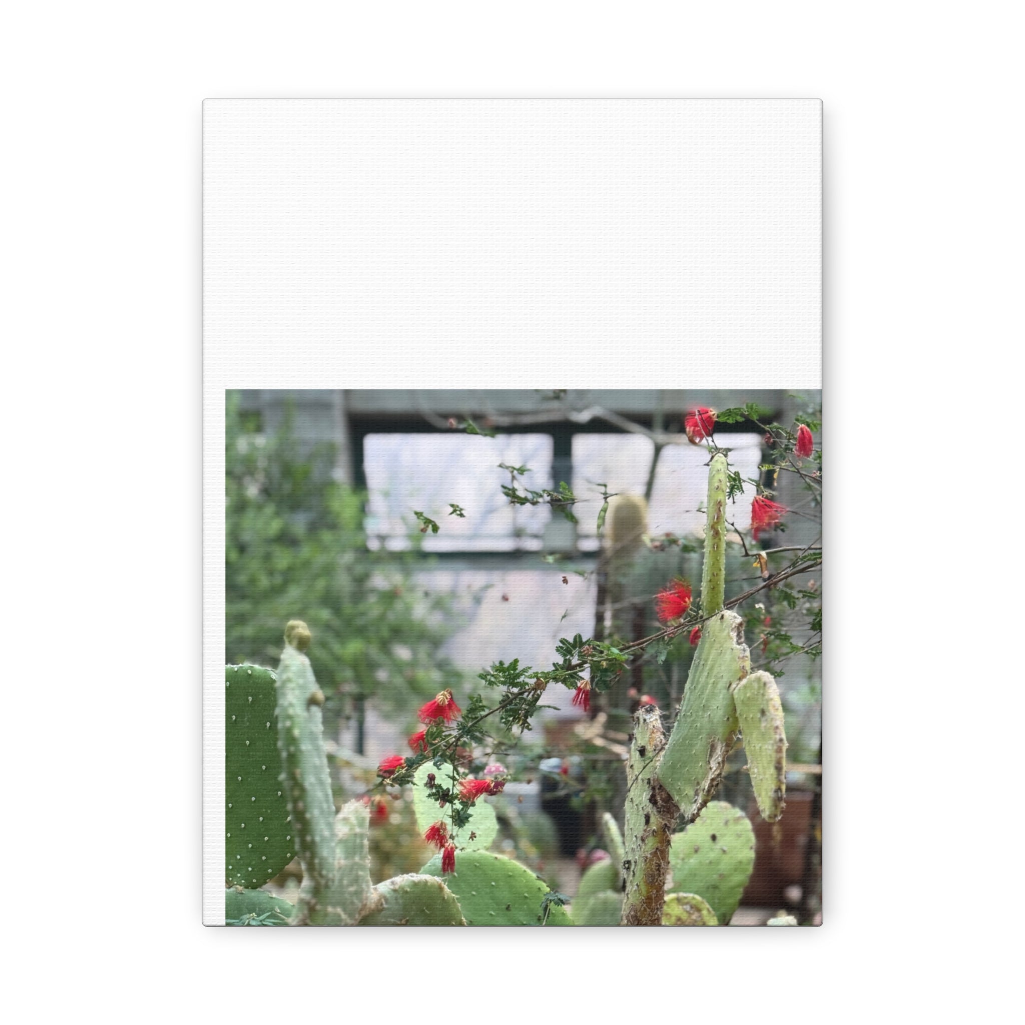 Cactus Wall Art Print, Nature Home Decor, Bohemian Style Artwork, Botanical Gift, Succulent Canvas