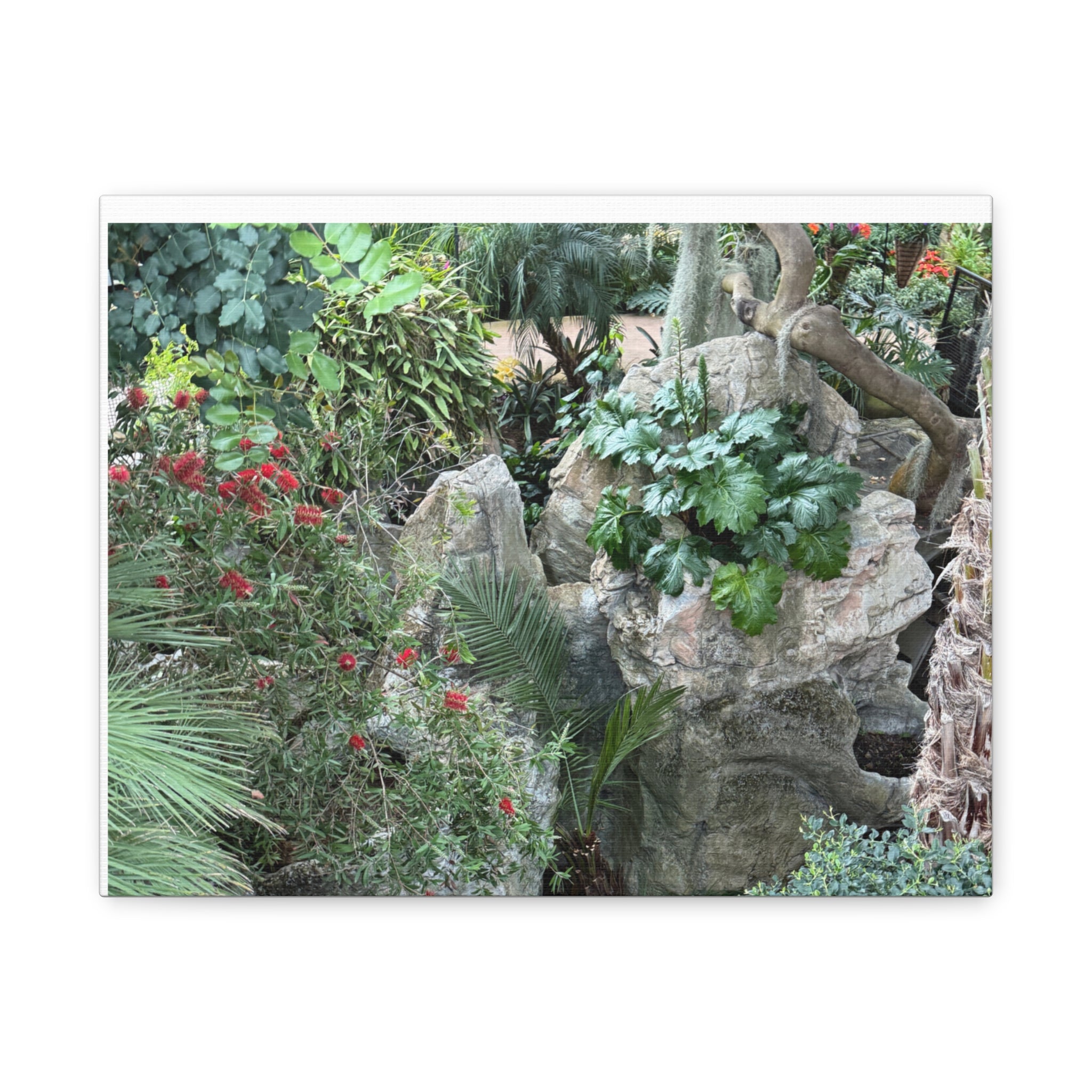 Nature-Inspired Wall Art, Canvas Print, Botanical Decor for Home, Greenery Art, Gift for Nature Lovers, Eco-Friendly Decoration