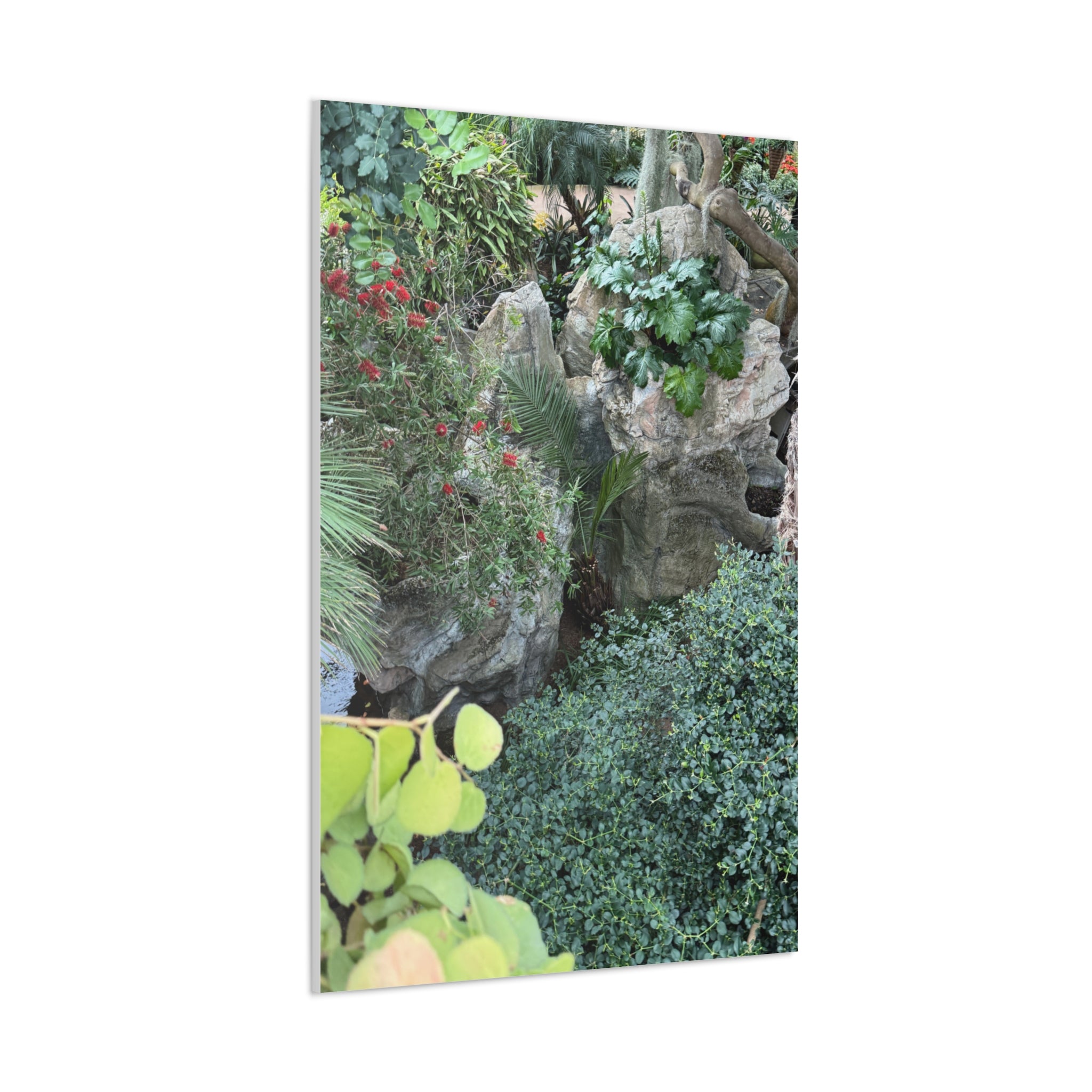 Canvas Wall Art, Tropical Garden Print, Home Decor, Botanical Artwork, Nature Lover Gift, Modern Interior Design