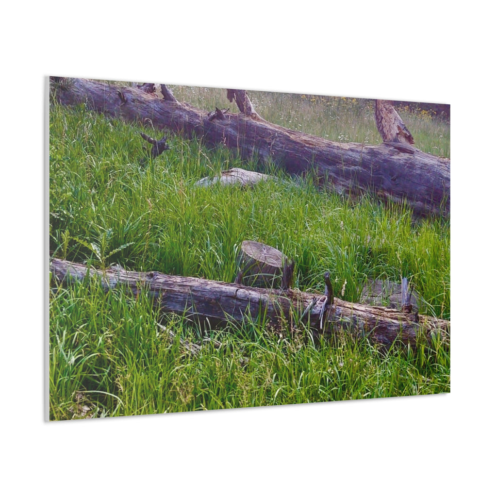 Classic Canvas Wall Art - Nature Decor, Outdoor Wall Hanging, Home Aesthetic, Gift for Nature Lovers, Rustic Cabin Decor