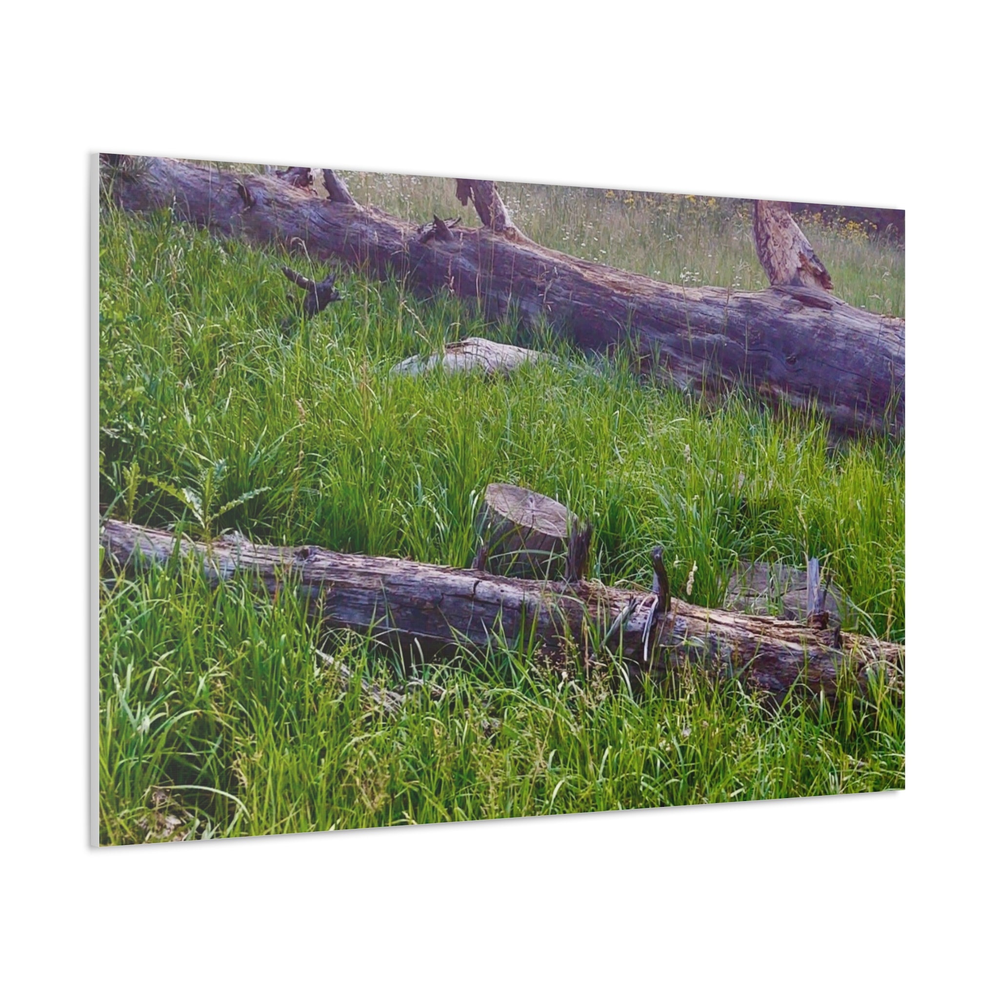Classic Canvas Wall Art - Nature Decor, Outdoor Wall Hanging, Home Aesthetic, Gift for Nature Lovers, Rustic Cabin Decor