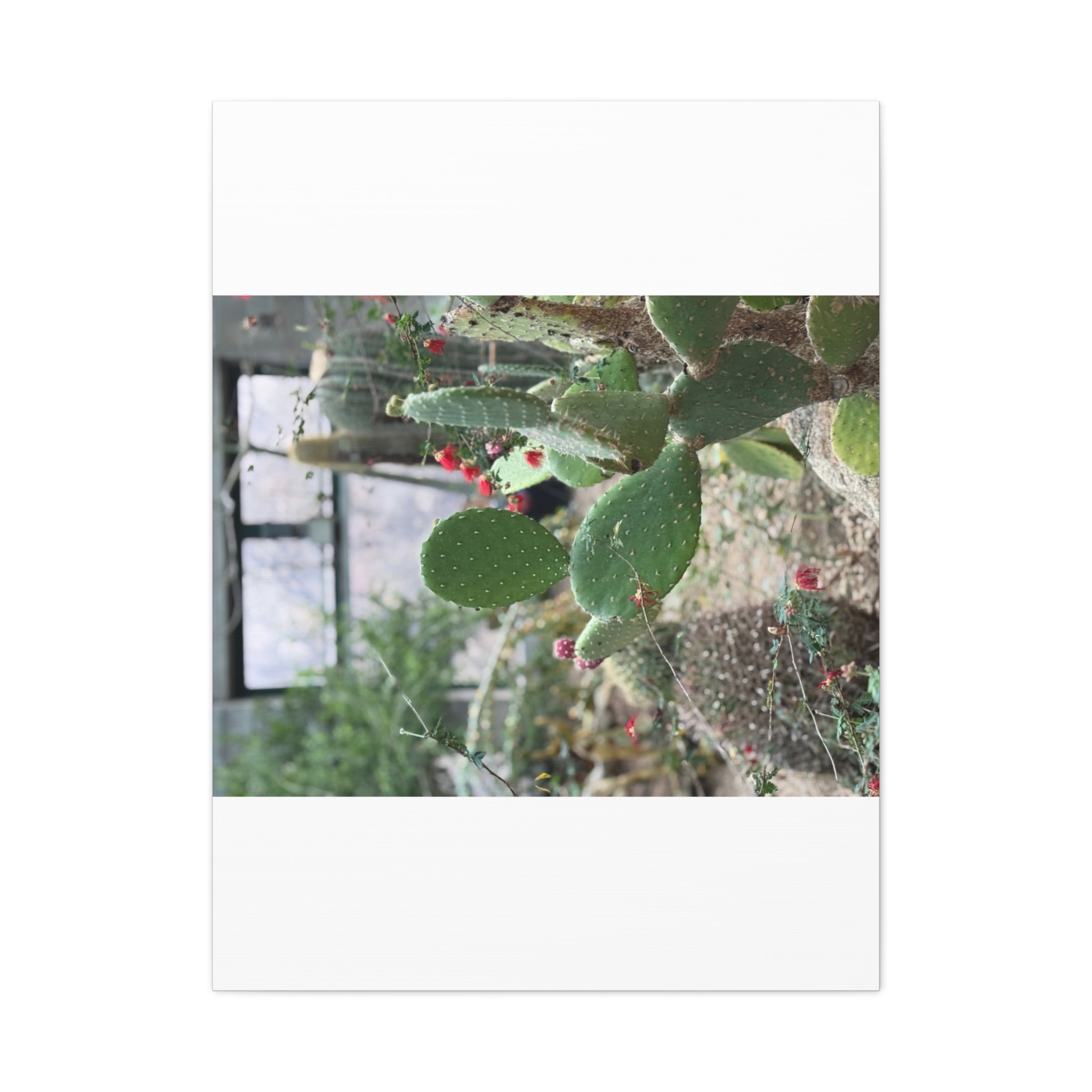 Cactus Wall Art Canvas Print, Nature Décor for Home, Office, Gift for Cactus Lovers, Unique Plant Themed Artwork, Desert Vibe Decor