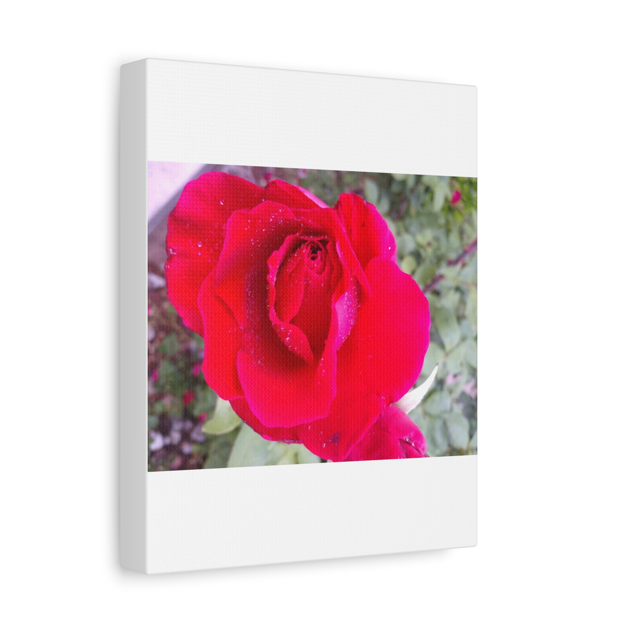 Vibrant Floral Canvas Art, Elegant Wall Decor, Perfect for Home, Gifts, Mother's Day, and Weddings