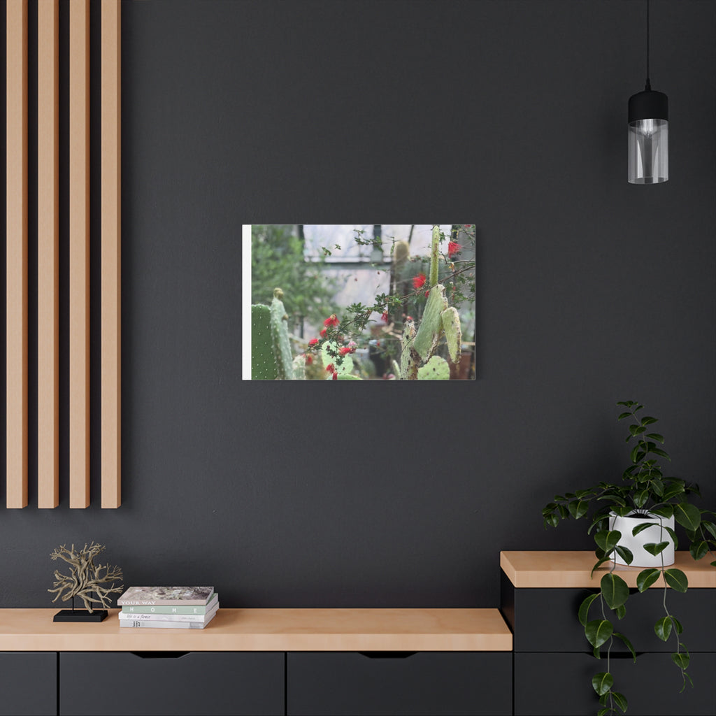 Cactus Wall Art Print, Nature Home Decor, Bohemian Style Artwork, Botanical Gift, Succulent Canvas