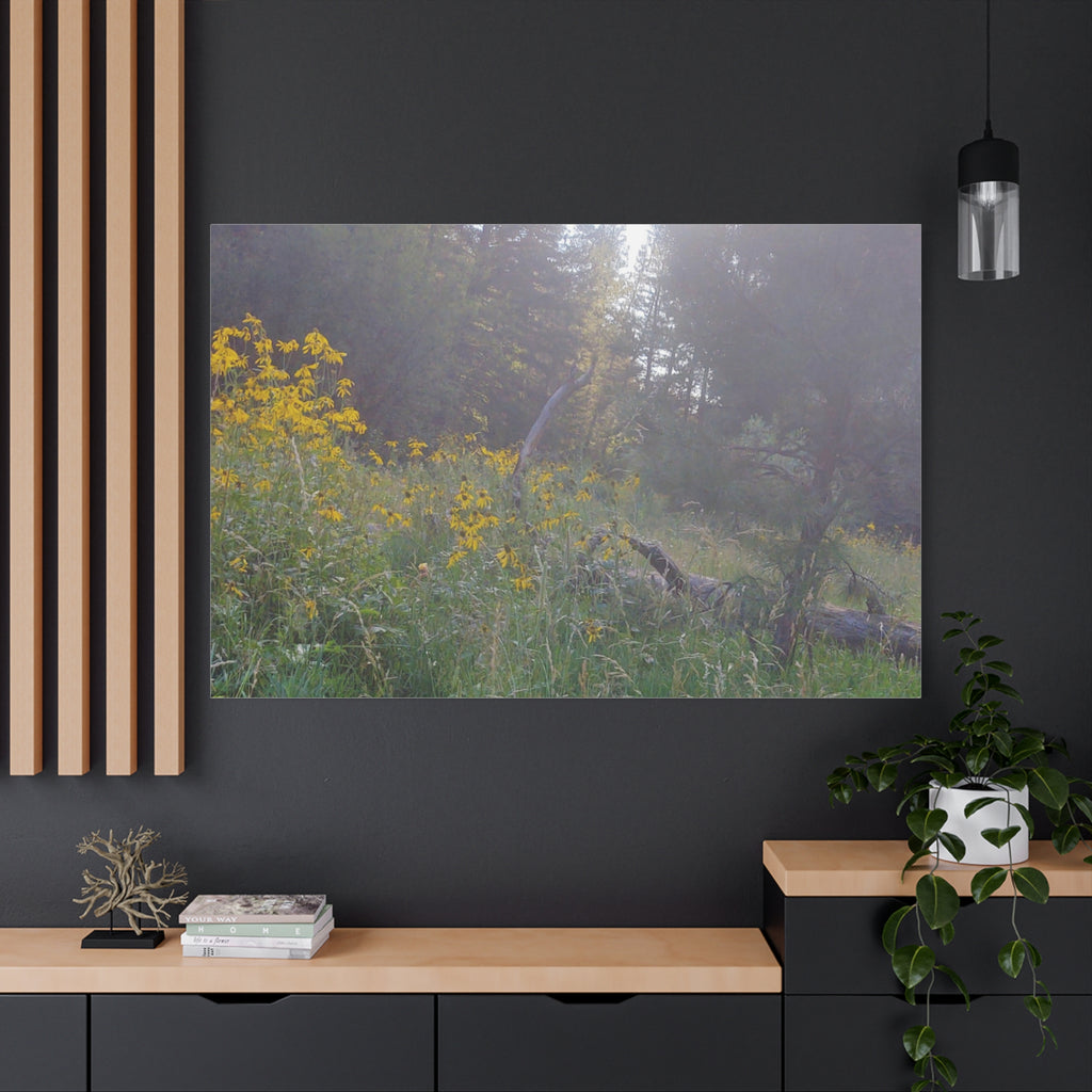 Matte Canvas, Stretched, 1.25"