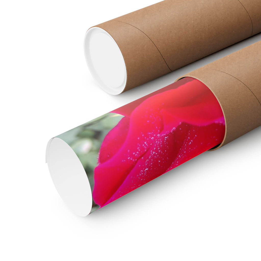 Vibrant Floral Matte Poster, Home Decor, Wall Art, Gift for Her, Red Rose Print, Botanical Wall Art, Romantic Decoration