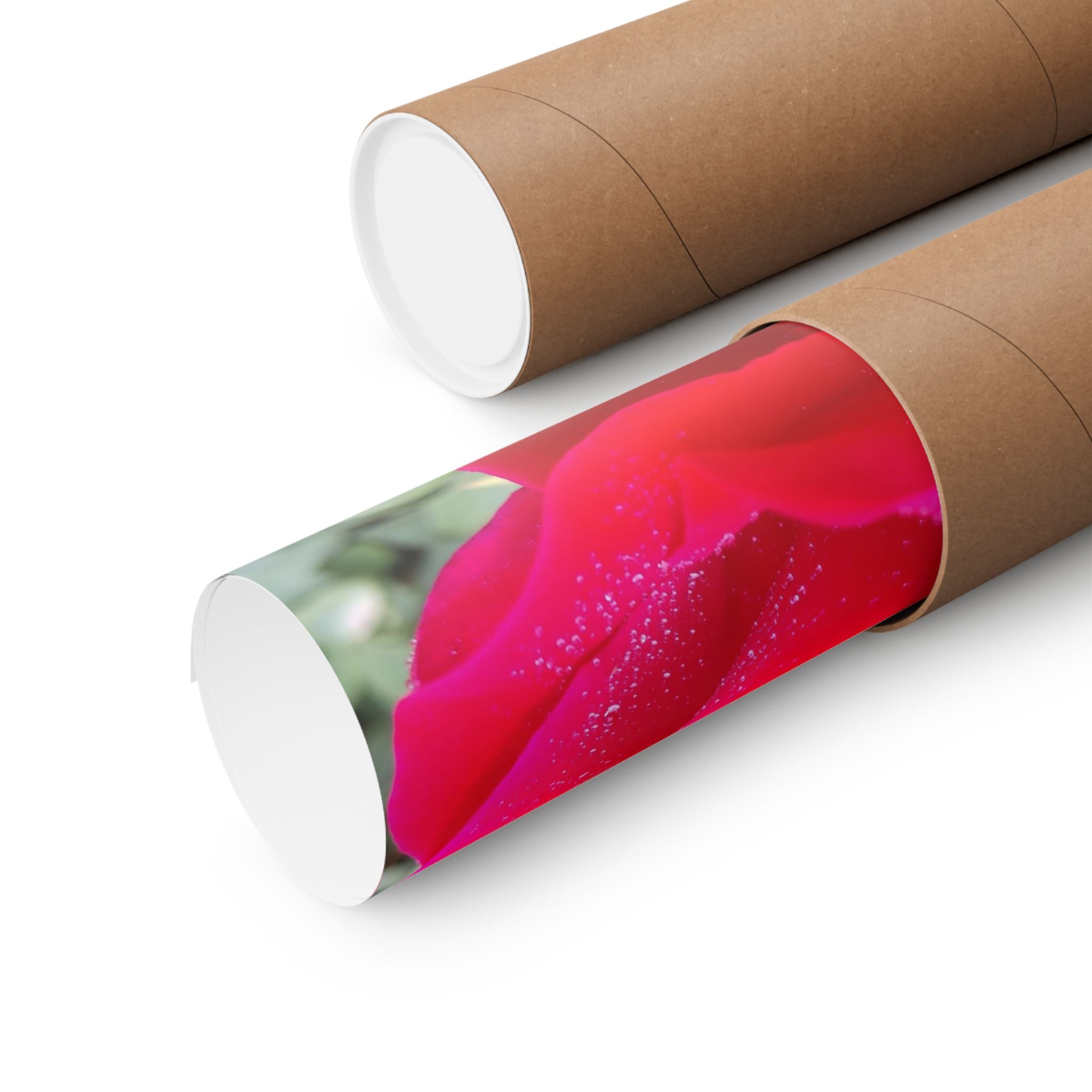 Vibrant Floral Matte Poster, Home Decor, Wall Art, Gift for Her, Red Rose Print, Botanical Wall Art, Romantic Decoration