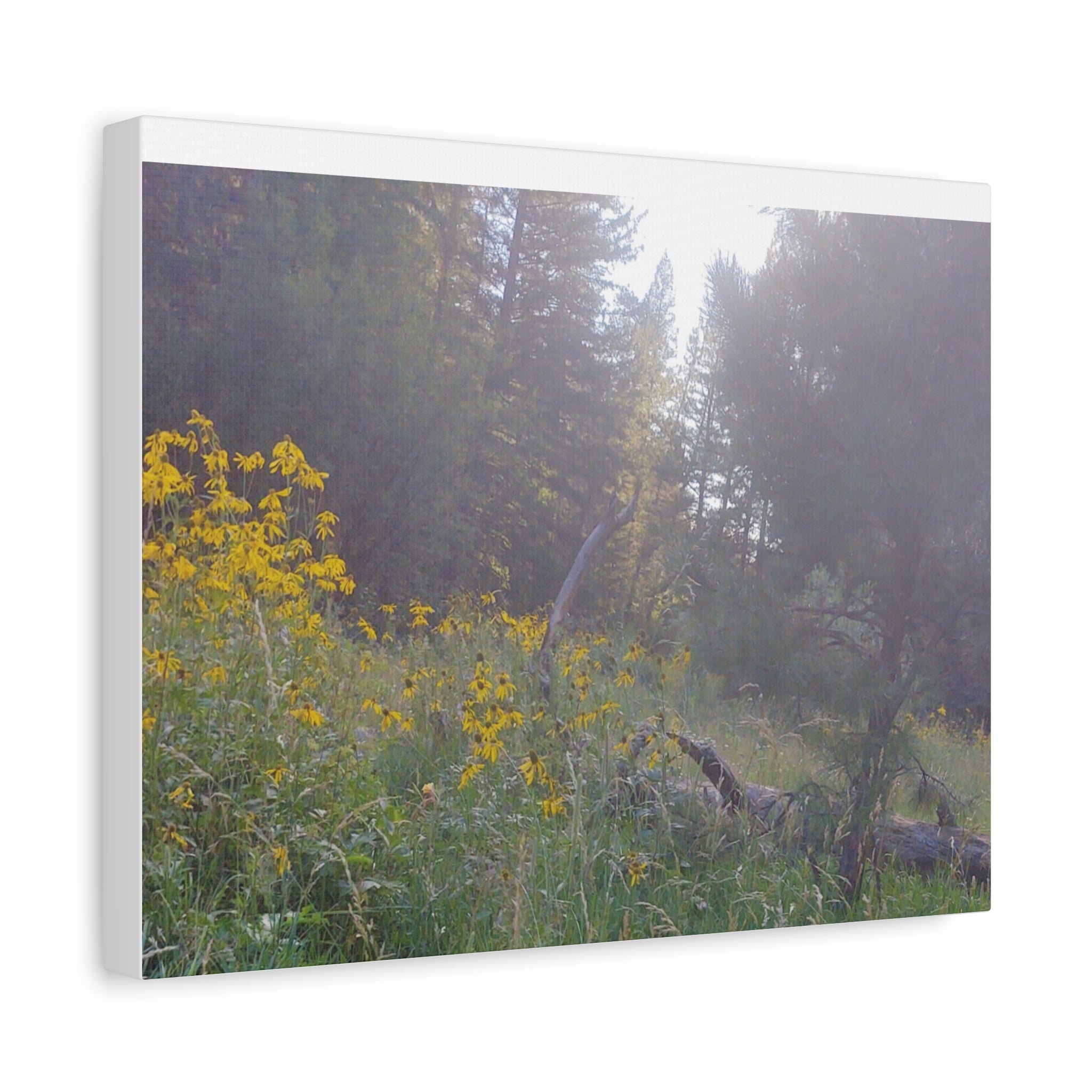 Matte Canvas, Stretched, 1.25"