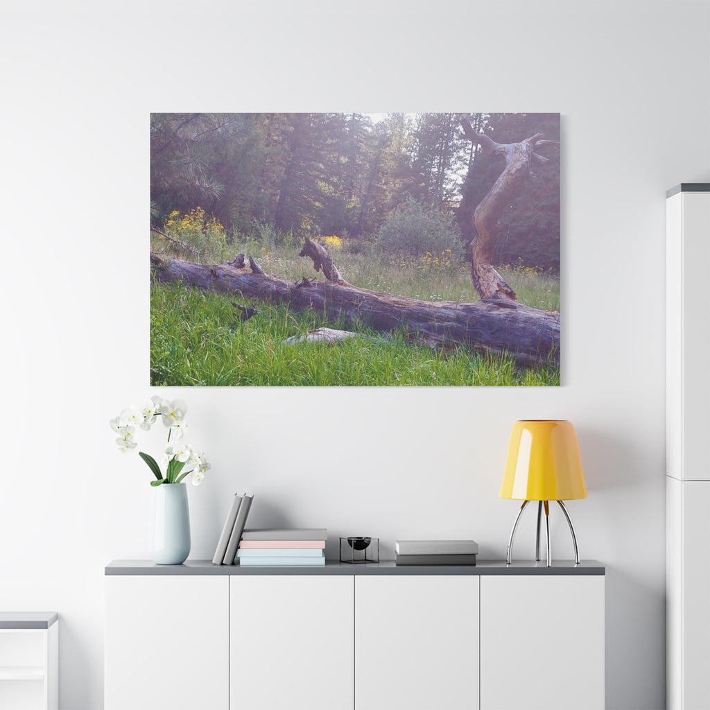 Matte Canvas Wall Art - Serene Nature Scene, Perfect for Home Decor, Gift for Nature Lovers, Office Wall Decoration, Rustic Art Print