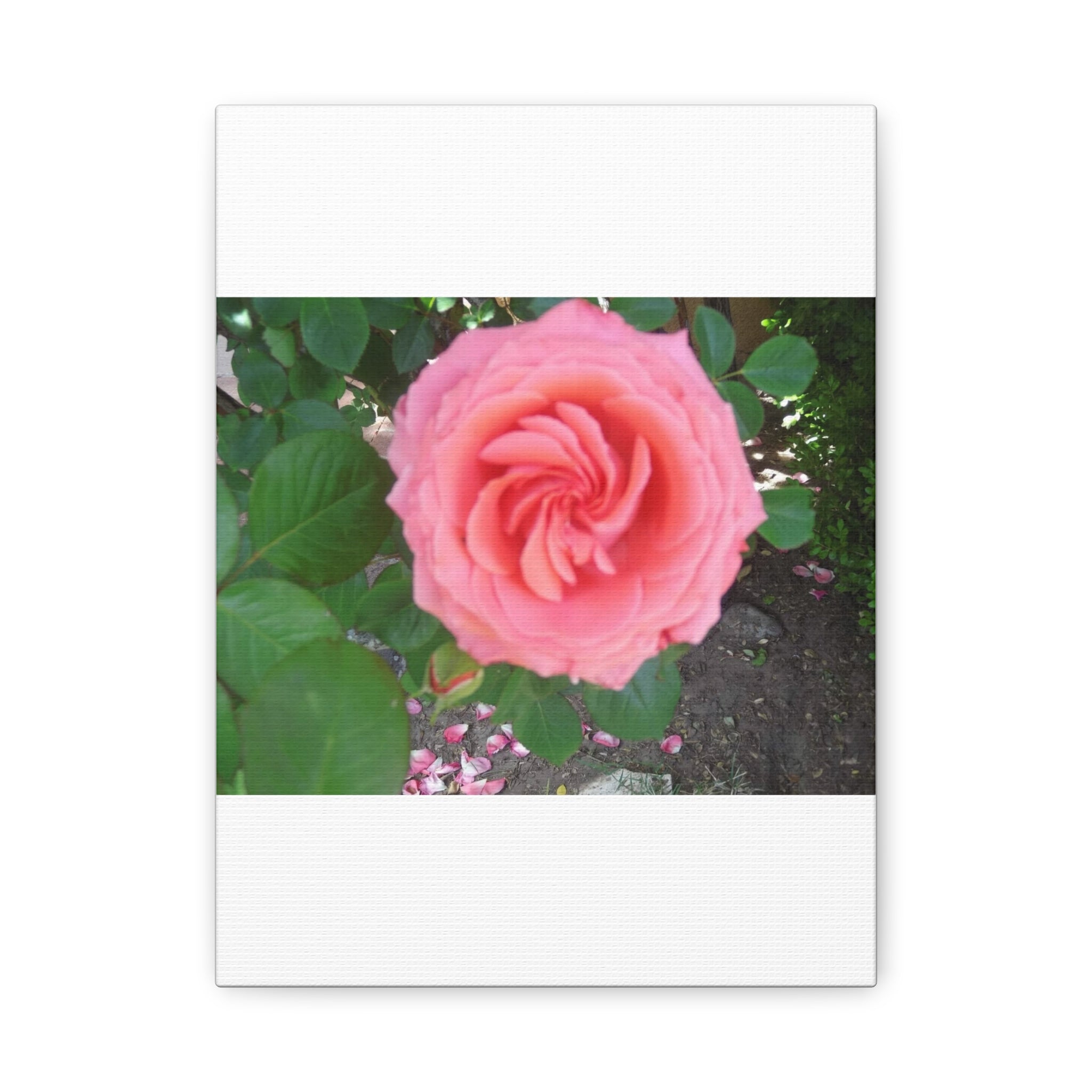 Pink Rose Canvas Wall Art, Floral Decor for Home, Perfect Gift for Nature Lovers, Elegant Wall Hanging, Mother's Day Decoration