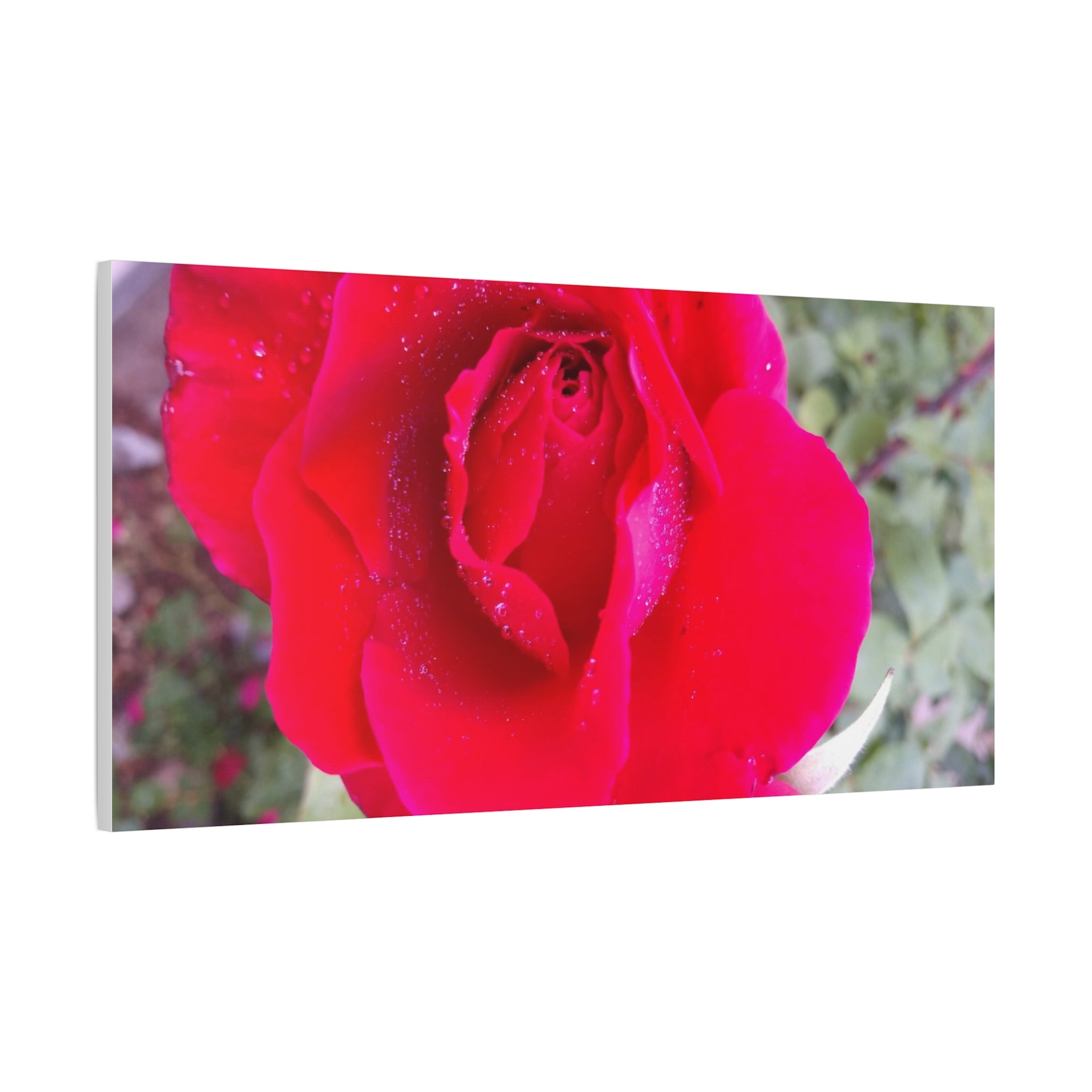 Vibrant Floral Canvas Art, Elegant Wall Decor, Perfect for Home, Gifts, Mother's Day, and Weddings