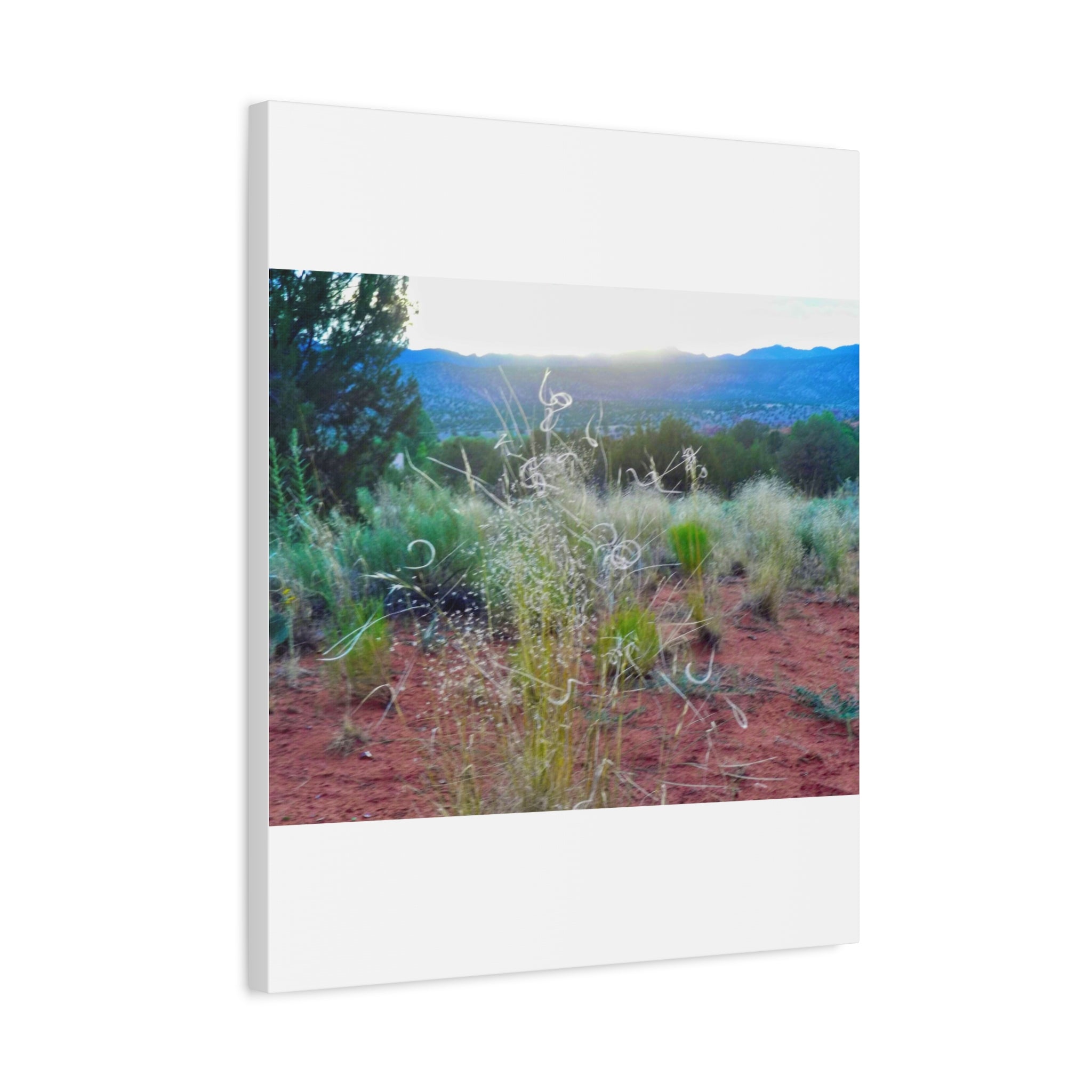 Serene Desert Landscape Canvas Print, Nature Wall Art, Home Decor, Gift for Nature Lovers, Rustic Art for Living Room, Boho Decor