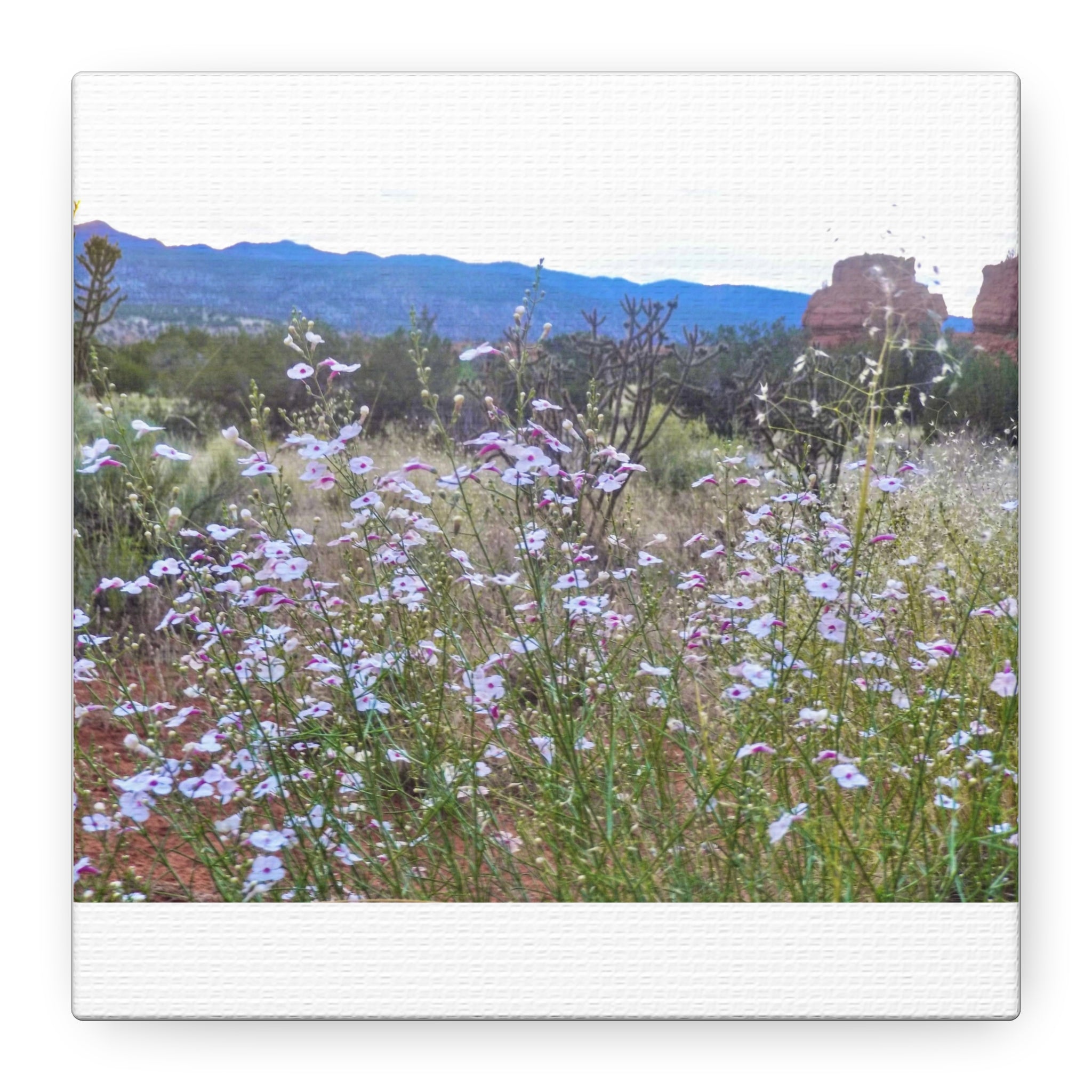 Floral Canvas Art Print, Nature Decor for Home, Wall Art for Office, Gift for Garden Lovers, Botanical Wall Decor, Spring Vibes