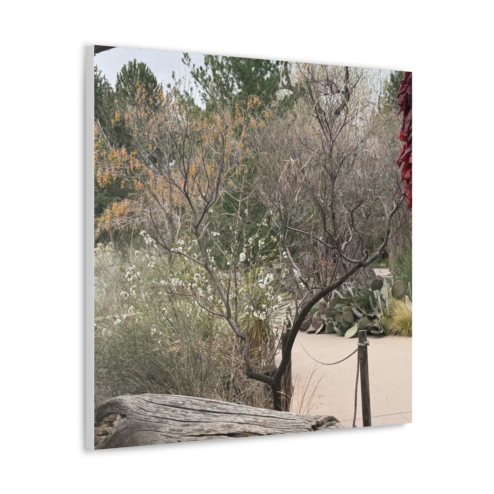 Classic Canvas Art Print, Bohemian Decor, Nature Wall Art, Home Gallery, Rustic Wall Decoration