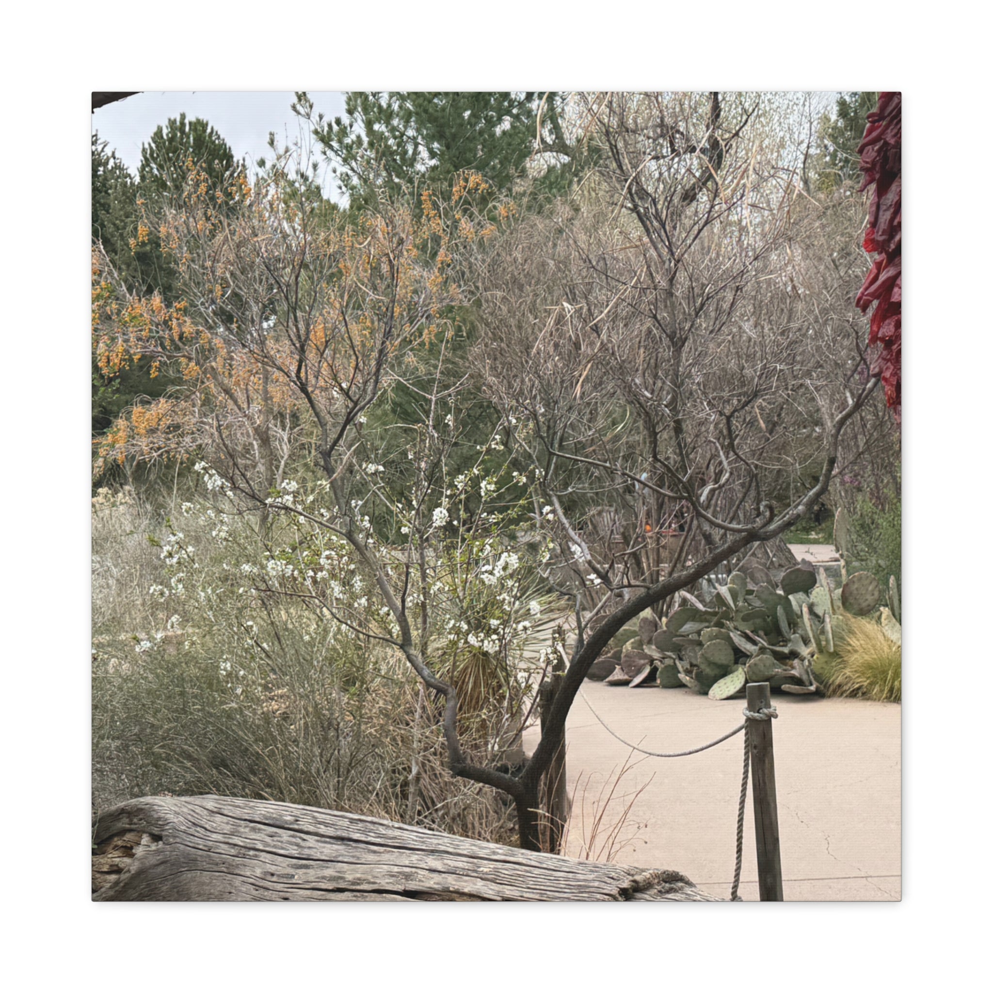 Classic Canvas Art Print, Bohemian Decor, Nature Wall Art, Home Gallery, Rustic Wall Decoration