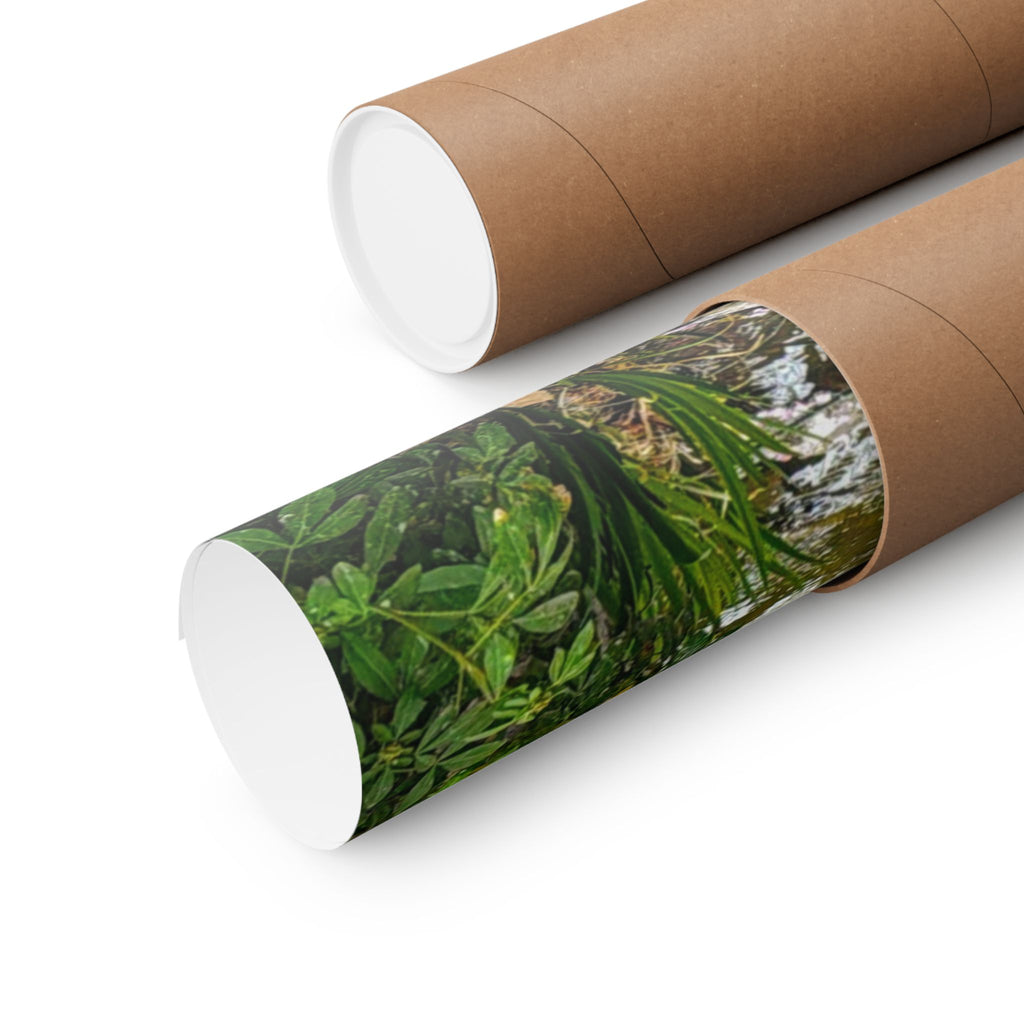 Nature-Inspired Matte Vertical Posters, Floral Wall Art, Spring Décor, Aesthetic Home Decor, Gift for Nature Lovers, Botanical Prints