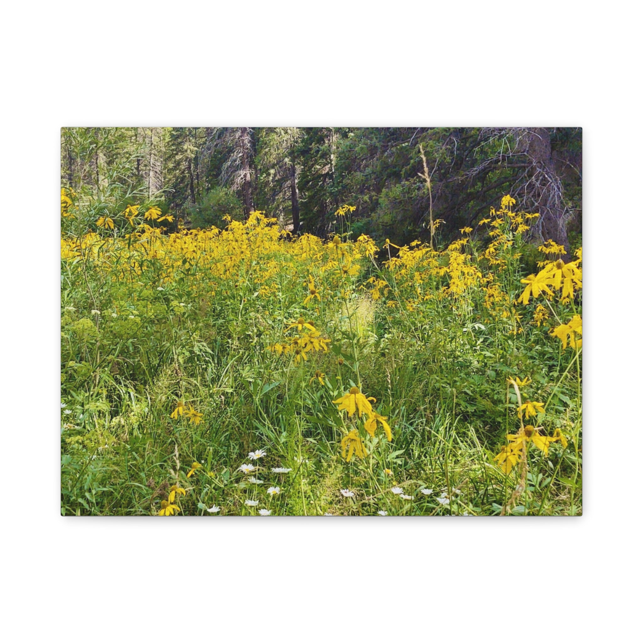 Nature-Inspired Wall Art Print, Classic Canvas Landscape, Floral Forest Decor, Home Wall Decoration, Gift for Nature Lovers