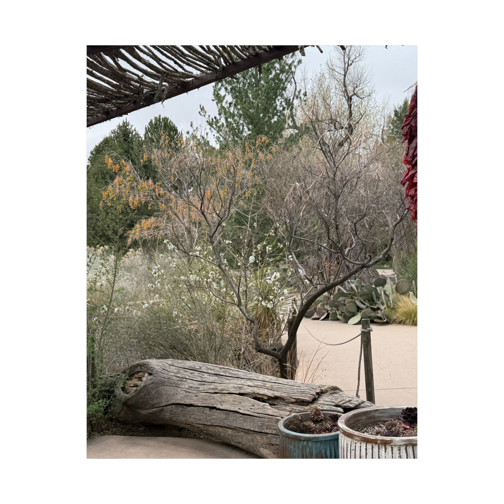 Matte Vertical Posters | Nature-Inspired Wall Art, Rustic Decor, Home Aesthetic, Gift for Nature Lovers, Bohemian Poster Prints